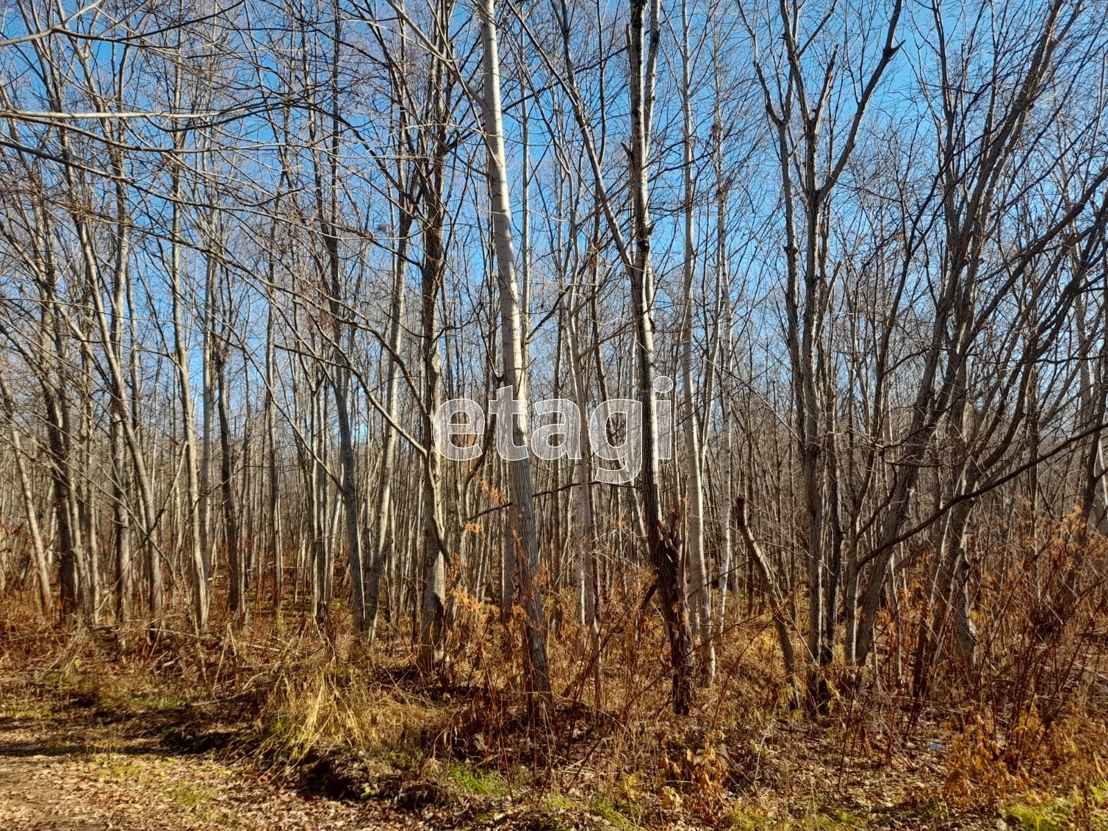 Продажа участка, Южно-Сахалинск, Сахалинская область,  