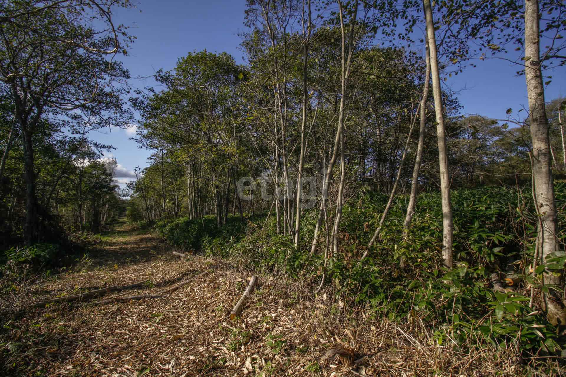 Продажа участка, Южно-Сахалинск, Сахалинская область,  Южно-Сахалинск