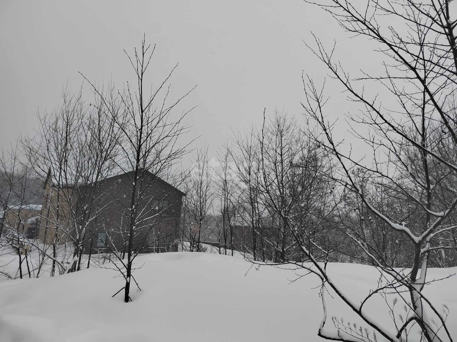 Продажа участка, Южно-Сахалинск, Сахалинская область,  Южно-Сахалинск