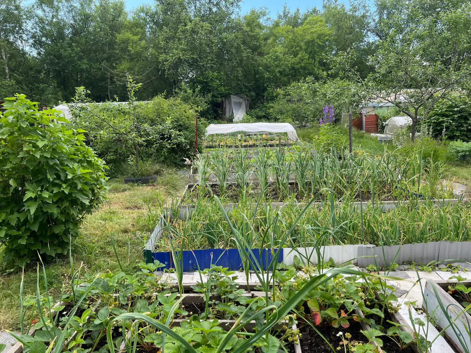 Продажа дачи, 20м <sup>2</sup>, 18 сот., Южно-Сахалинск, Сахалинская область,  Южно-Сахалинск