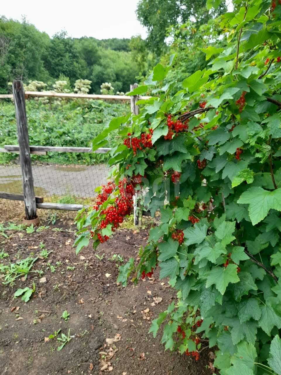 Продажа участка, Южно-Сахалинск, Сахалинская область,  