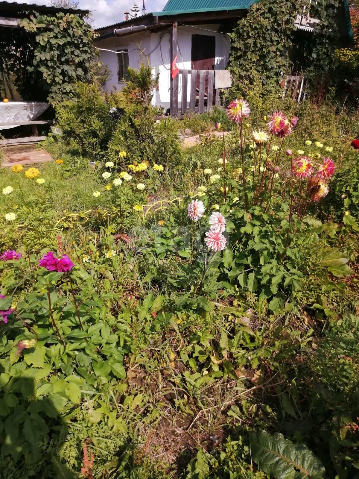 Продажа дачи, 30м <sup>2</sup>, 7 сот., Южно-Сахалинск, Сахалинская область,  