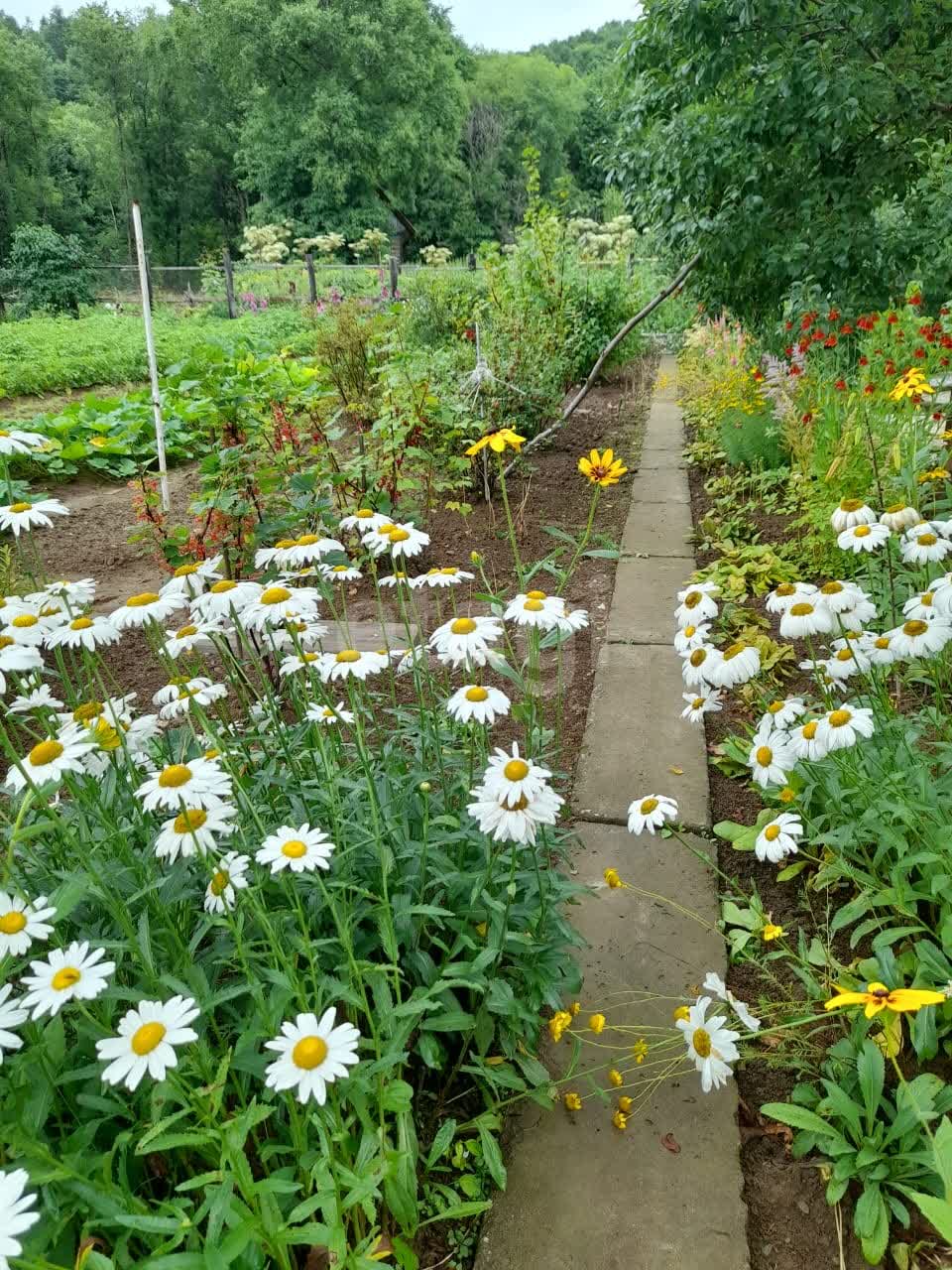 Продажа участка, Южно-Сахалинск, Сахалинская область,  