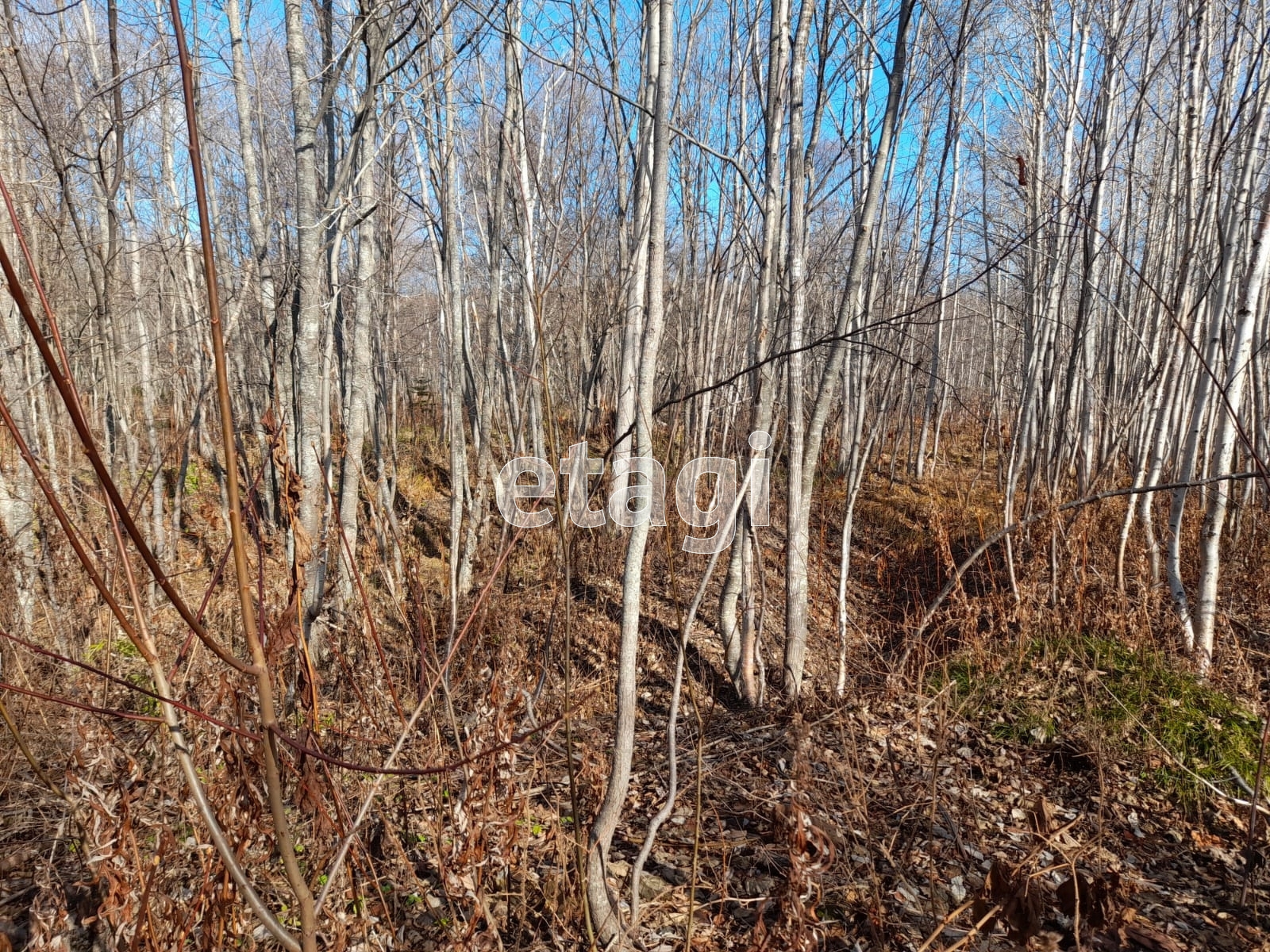 Продажа участка, Южно-Сахалинск, Сахалинская область,  