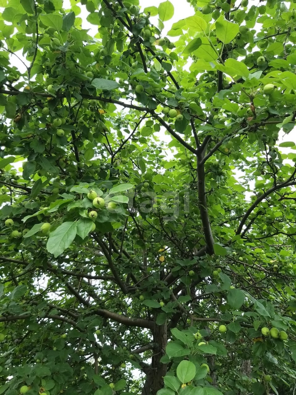 Продажа участка, Южно-Сахалинск, Сахалинская область,  