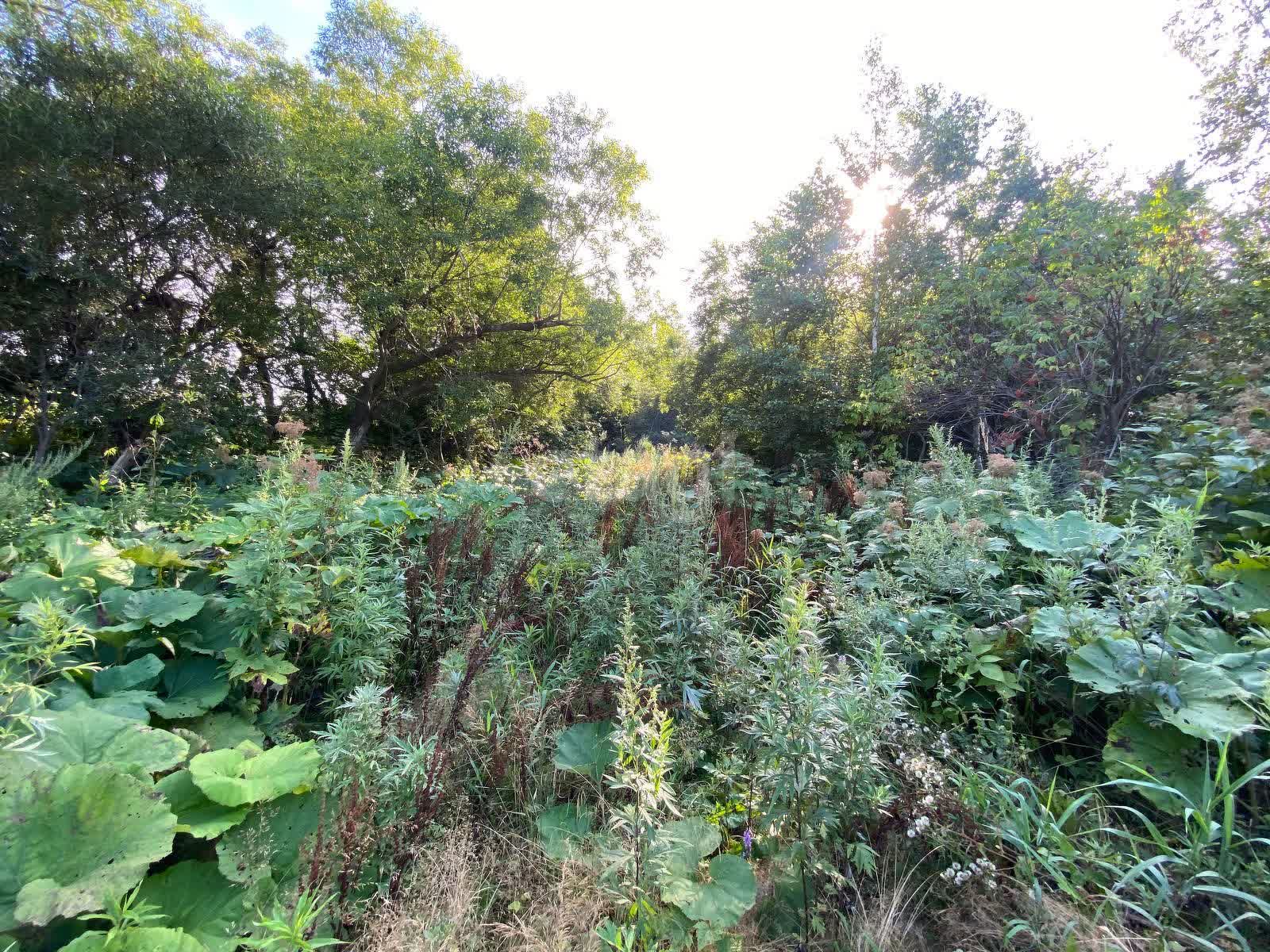 Продажа участка, Южно-Сахалинск, Сахалинская область,  Южно-Сахалинск