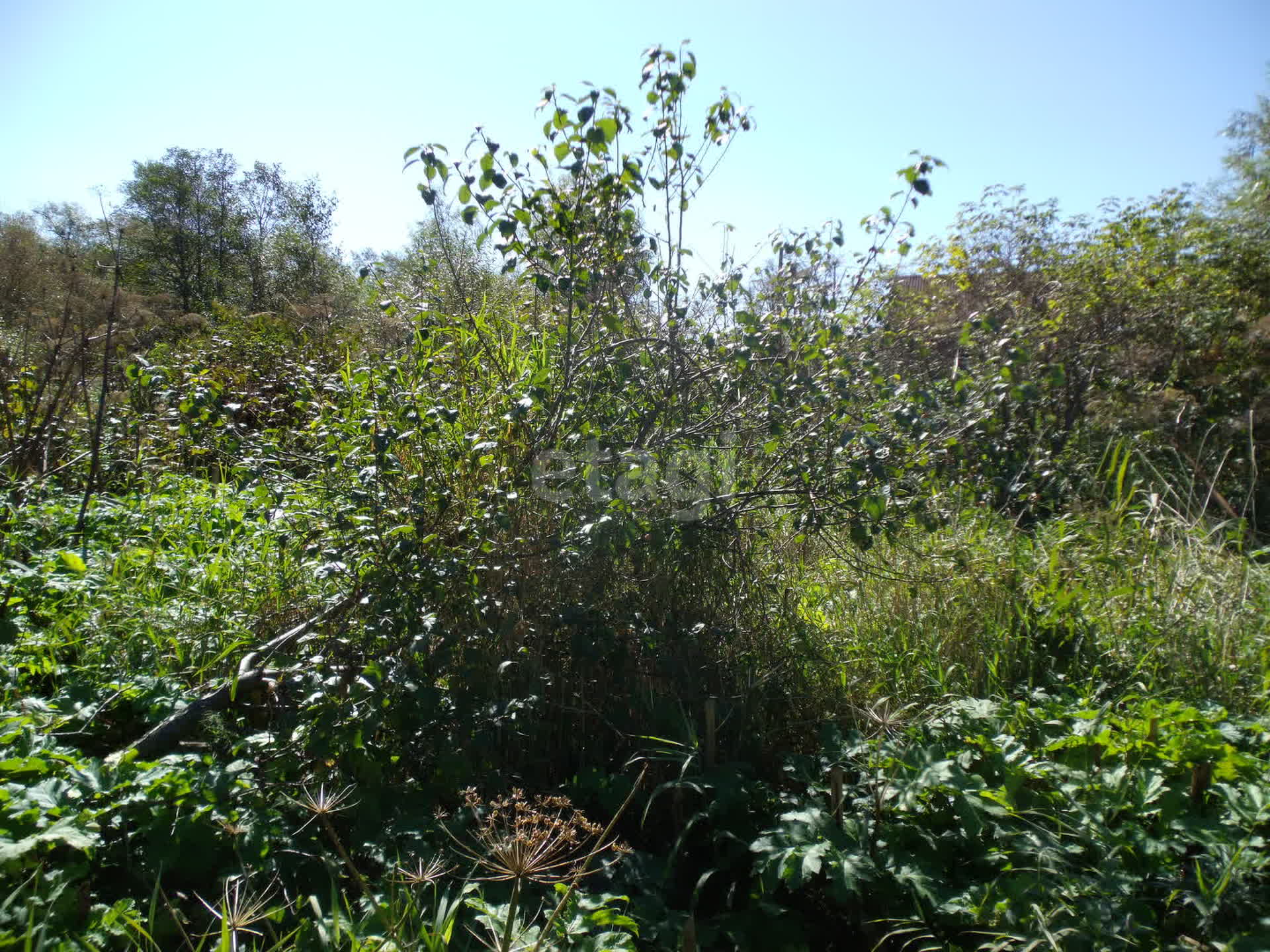 Продажа участка, Южно-Сахалинск, Сахалинская область,  