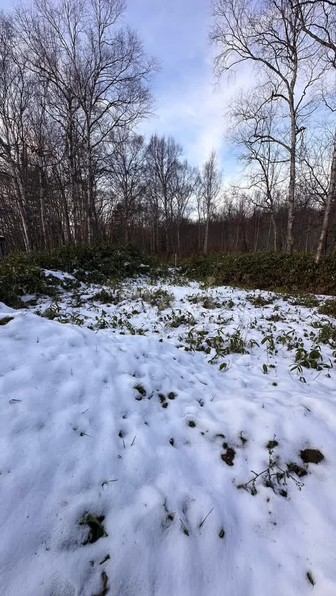 Продажа участка, Южно-Сахалинск, Сахалинская область,  Южно-Сахалинск