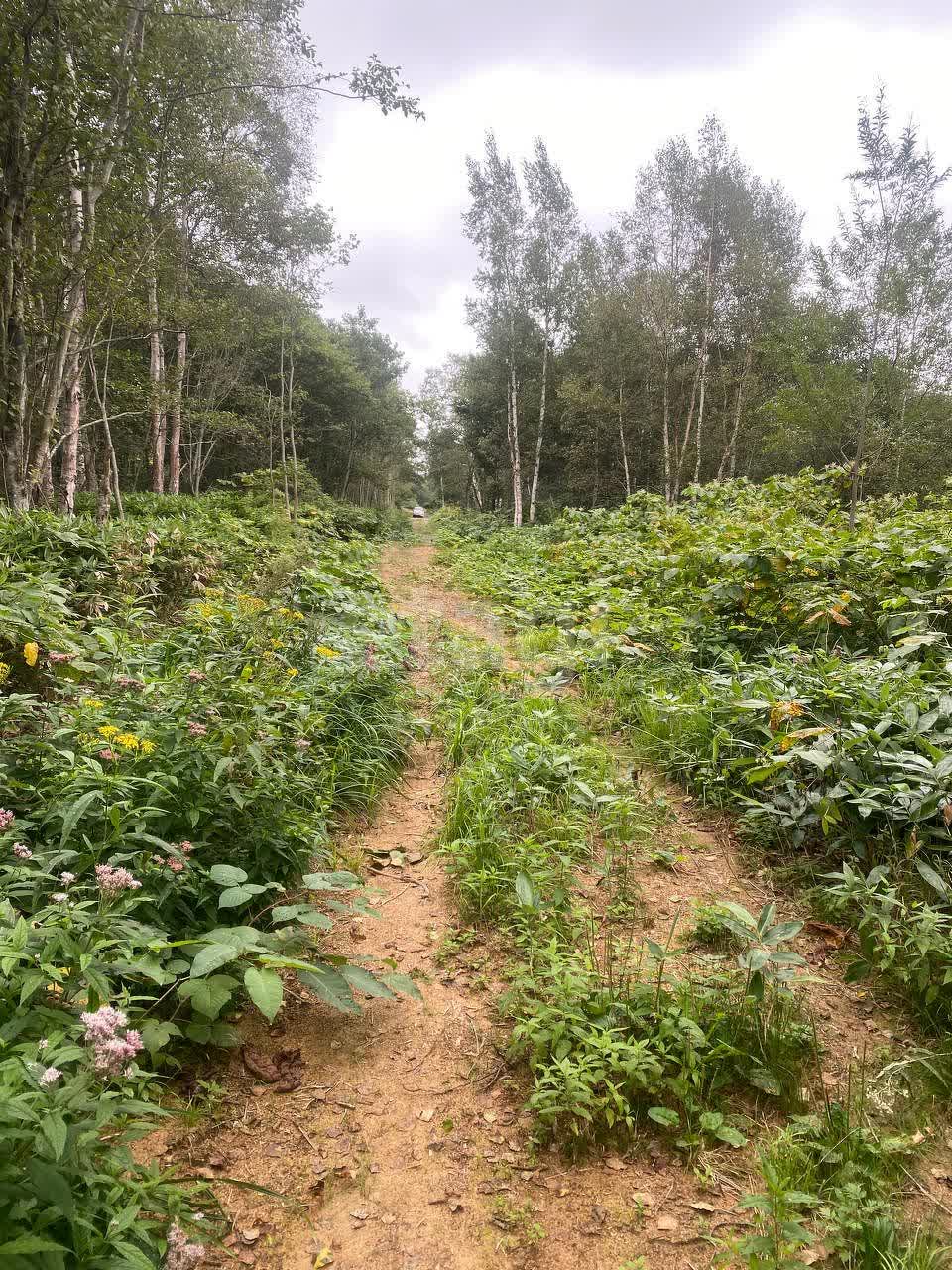 Продажа участка, Южно-Сахалинск, Сахалинская область,  Южно-Сахалинск