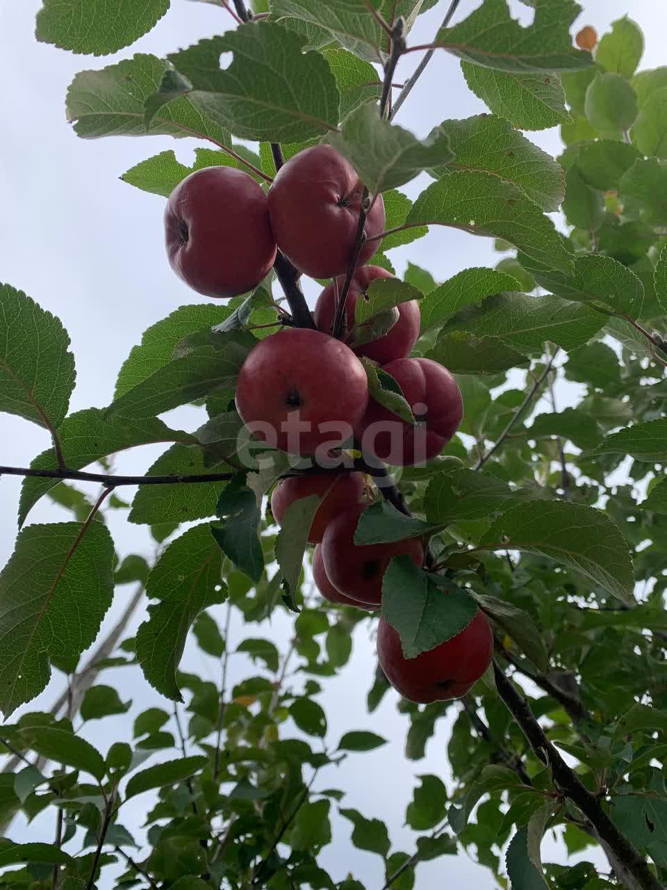 Продажа дома, 60м <sup>2</sup>, 30 сот., Южно-Сахалинск, Сахалинская область,  Южно-Сахалинск