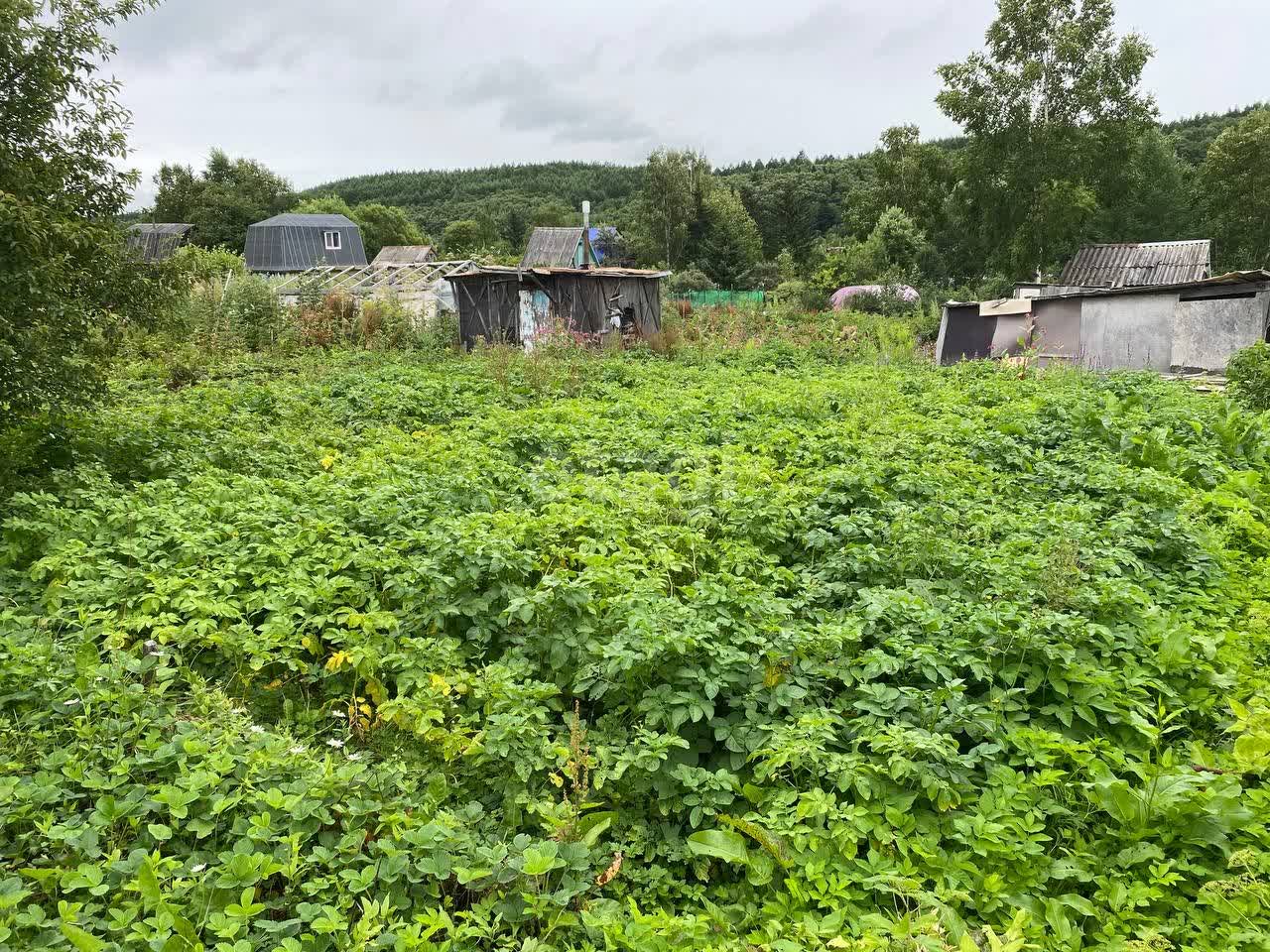 Продажа дачи, 20м <sup>2</sup>, 11 сот., Южно-Сахалинск, Сахалинская область,  Южно-Сахалинск