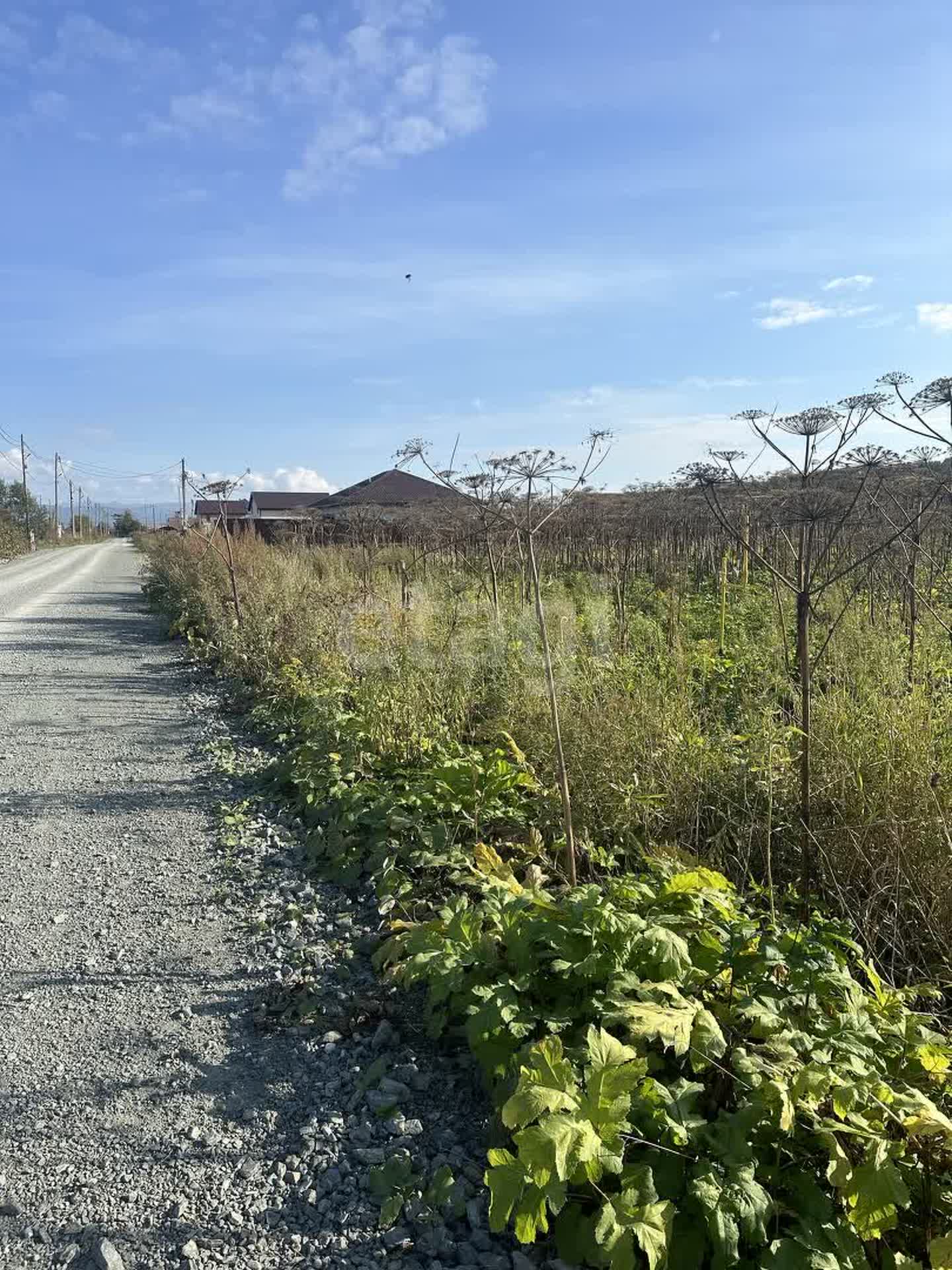 Продажа участка, Южно-Сахалинск, Сахалинская область,  