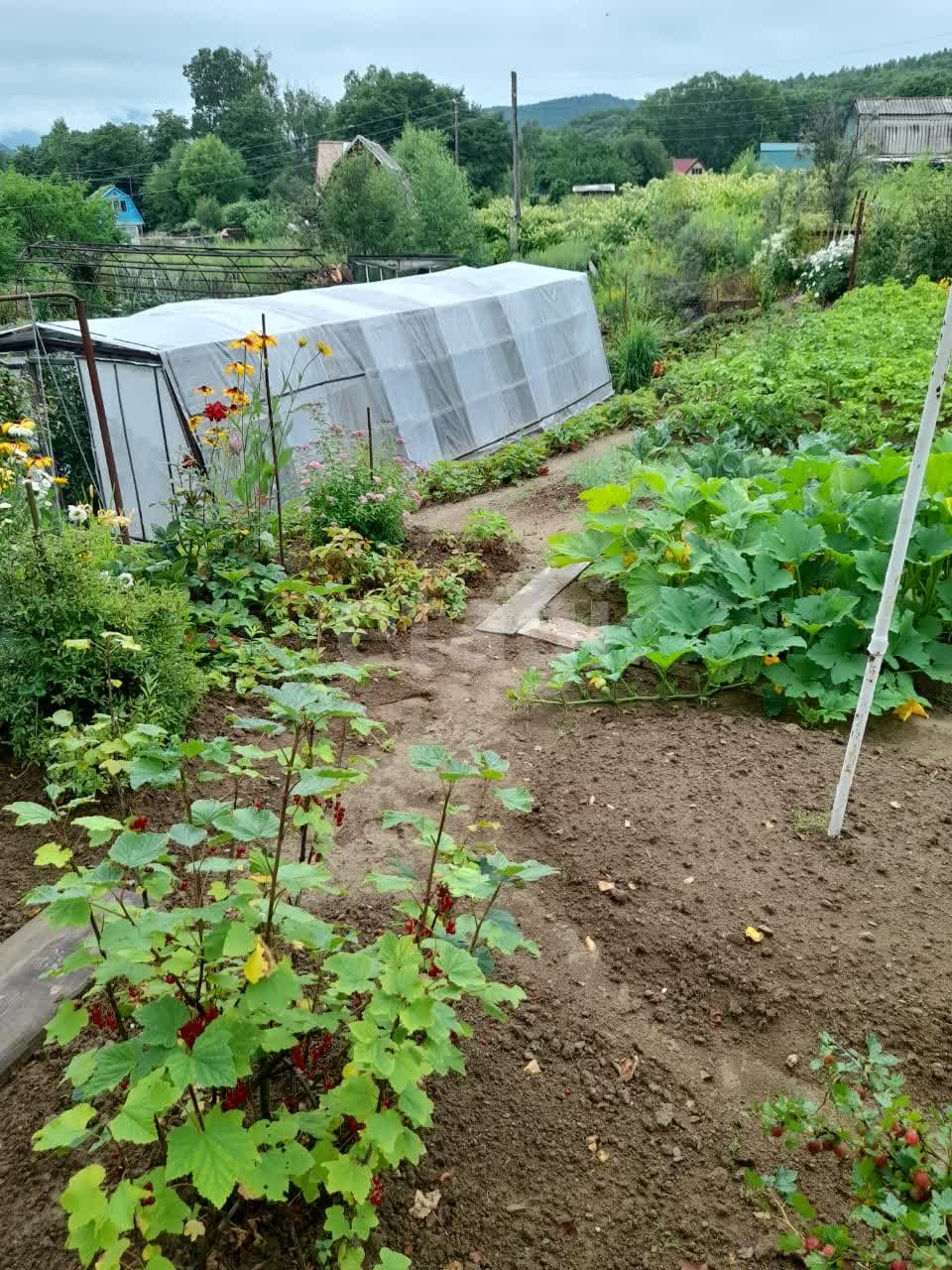 Продажа участка, Южно-Сахалинск, Сахалинская область,  