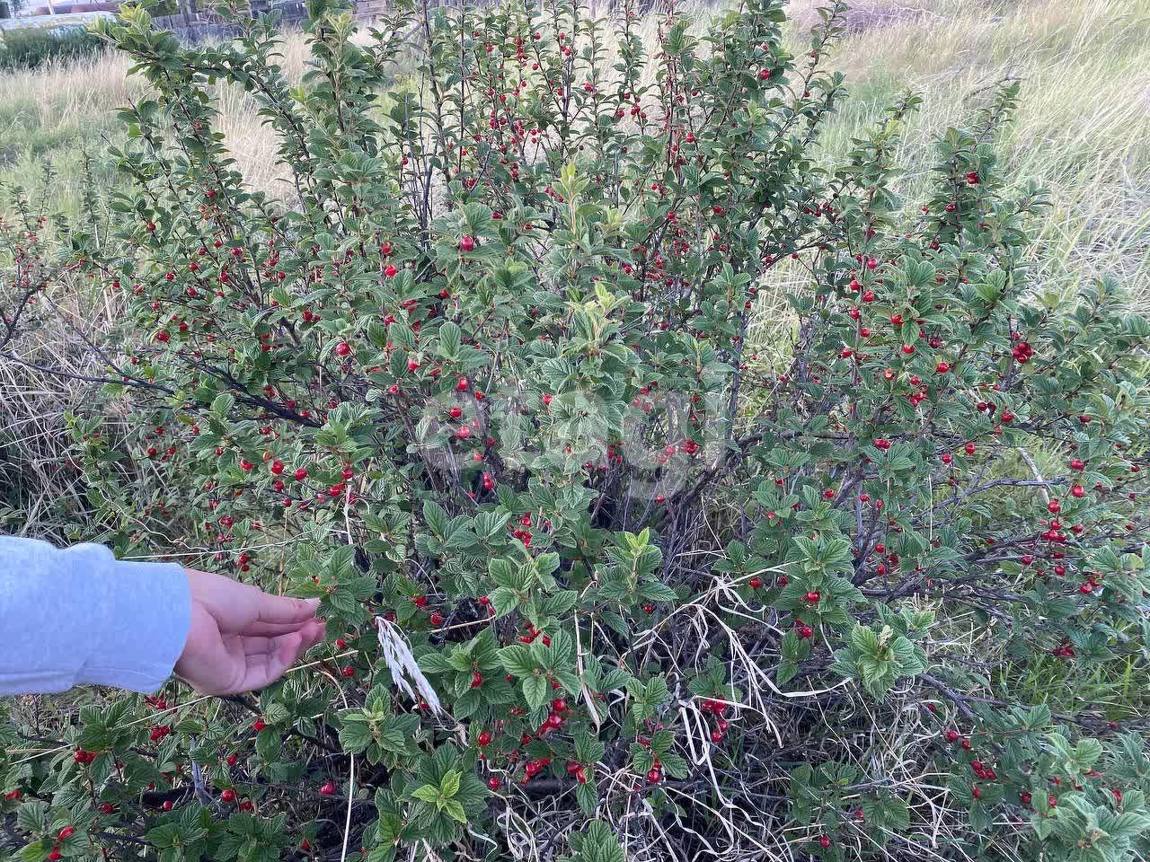 Продажа участка, Улан-Удэ, Республика Бурятия