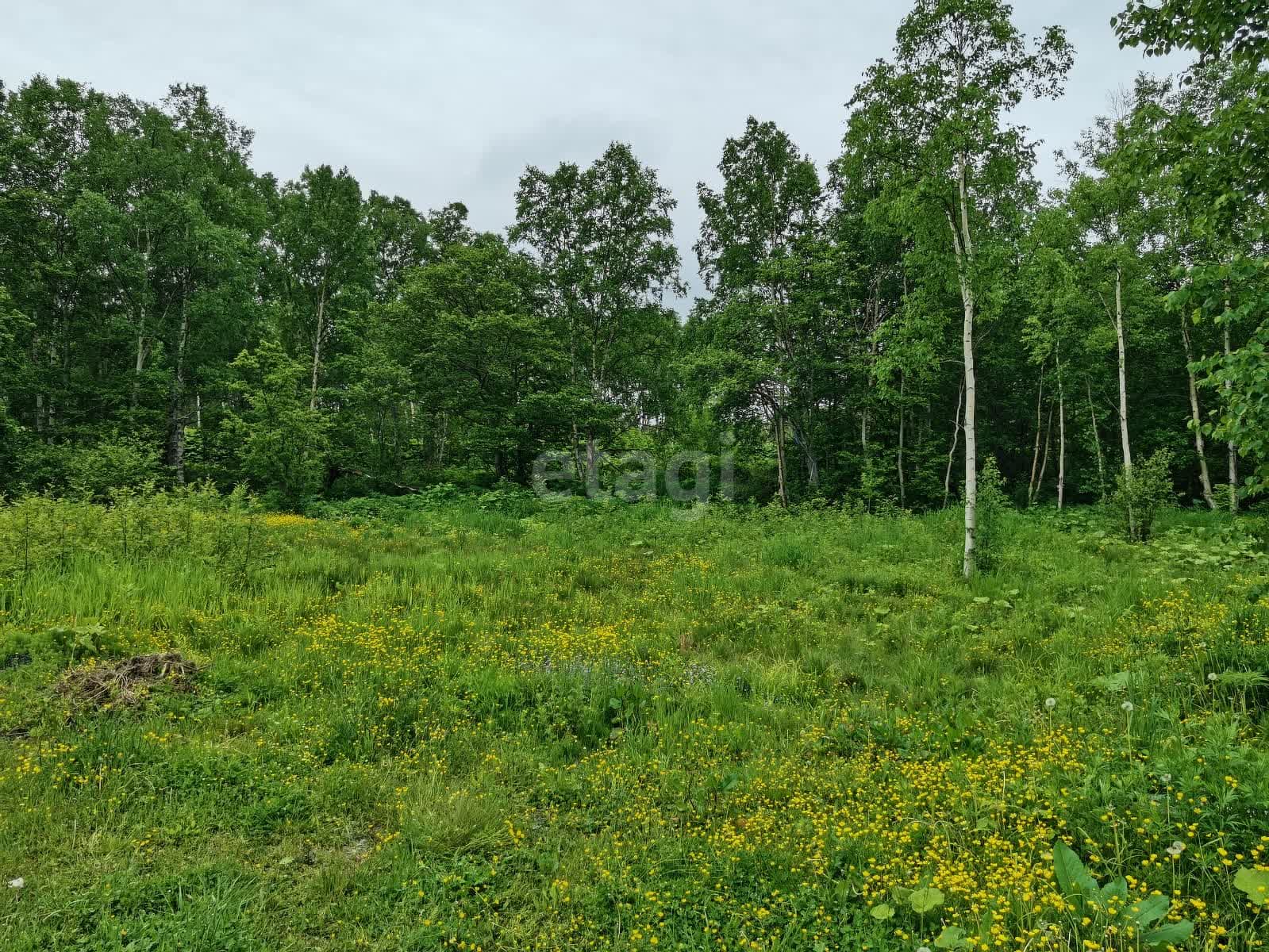 Продажа участка, Южно-Сахалинск, Сахалинская область,  Южно-Сахалинск