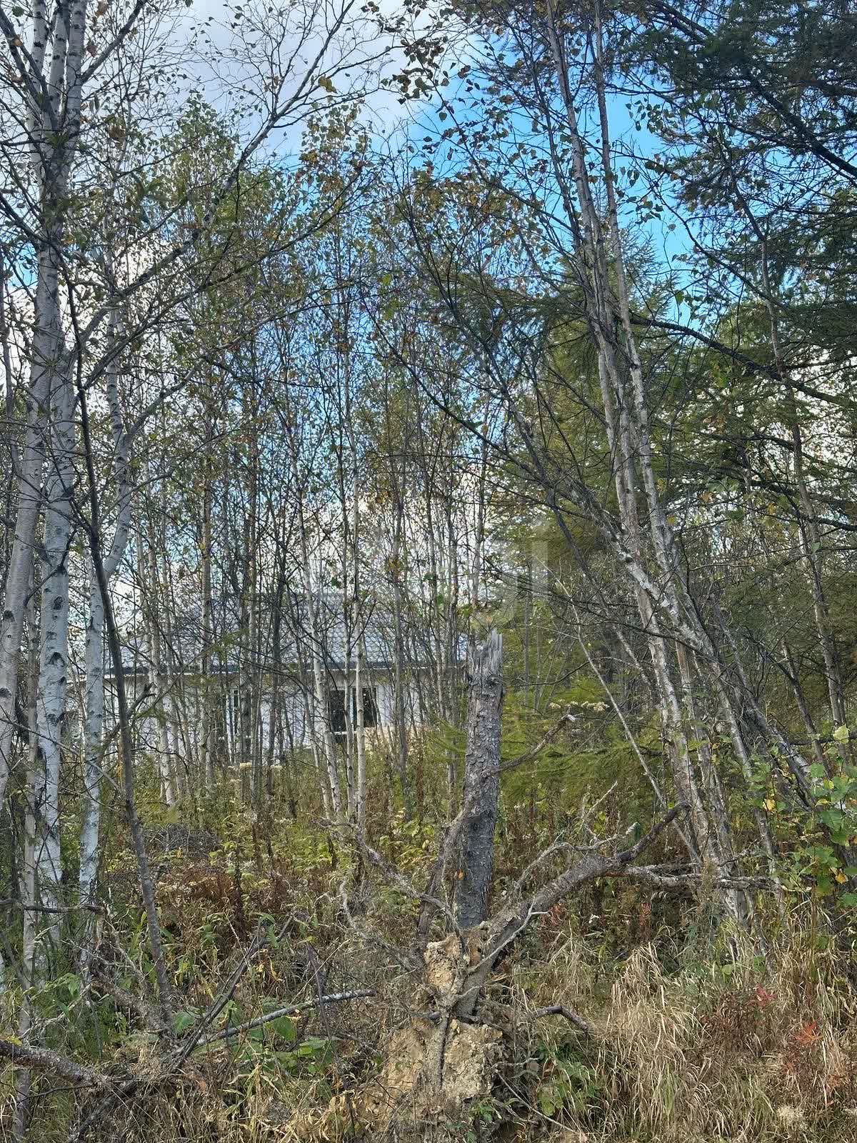 Продажа участка, Южно-Сахалинск, Сахалинская область,  Южно-Сахалинск