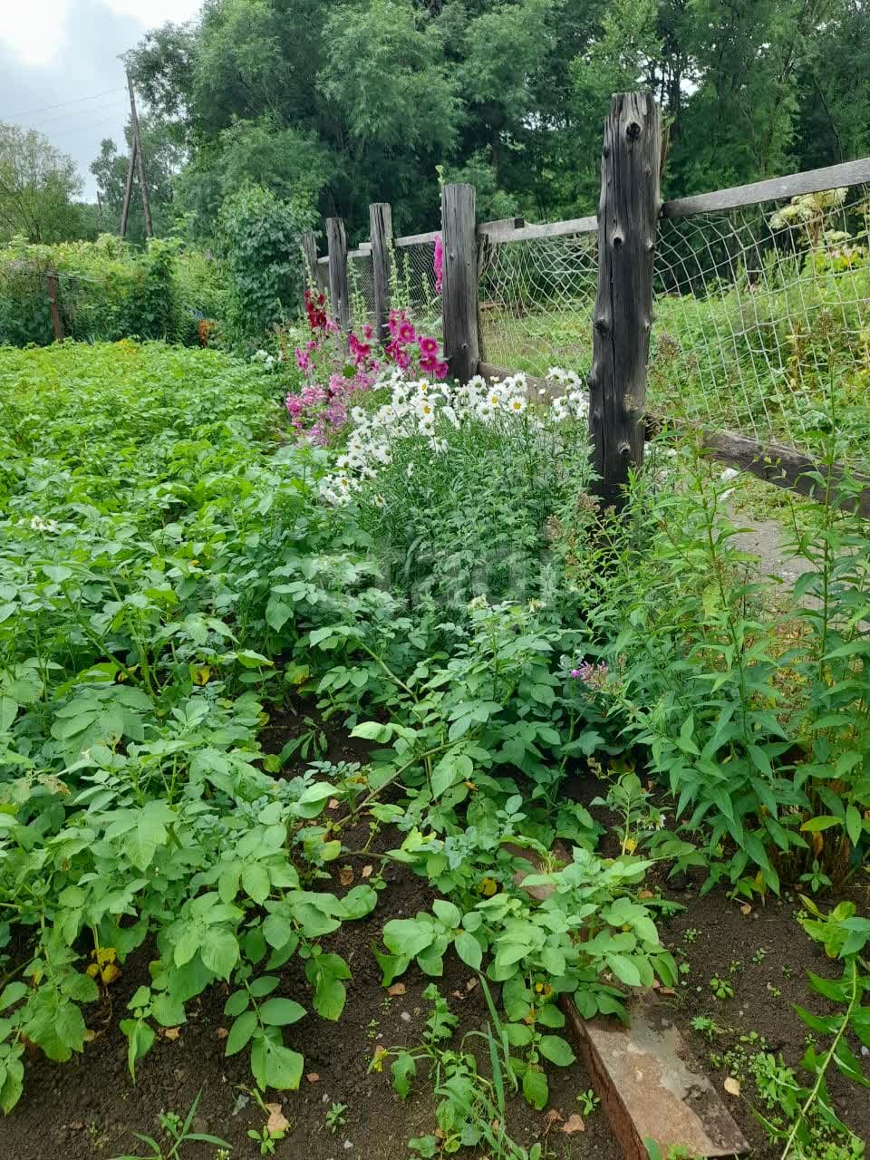 Продажа участка, Южно-Сахалинск, Сахалинская область,  