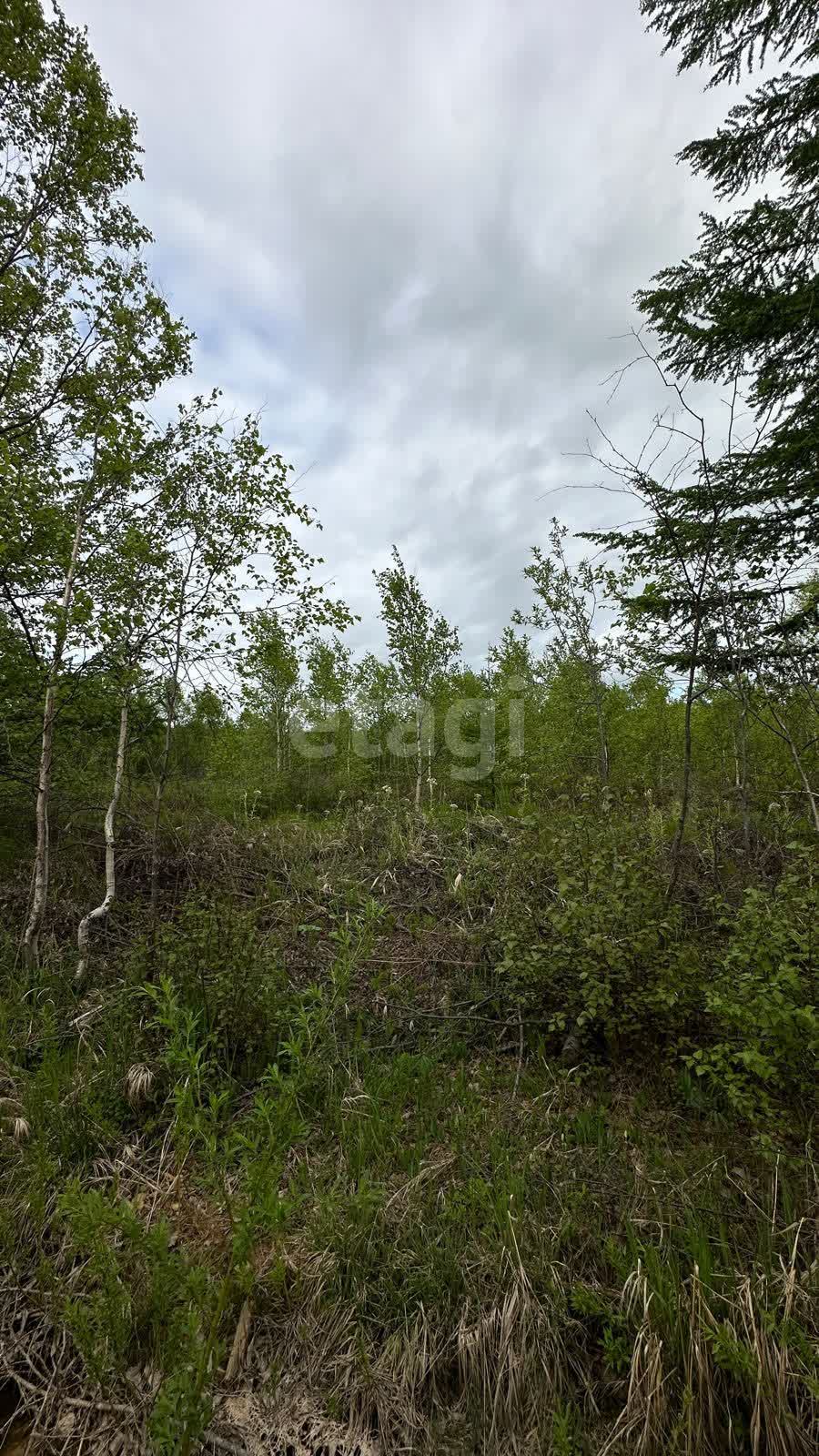 Продажа участка, Южно-Сахалинск, Сахалинская область,  Южно-Сахалинск