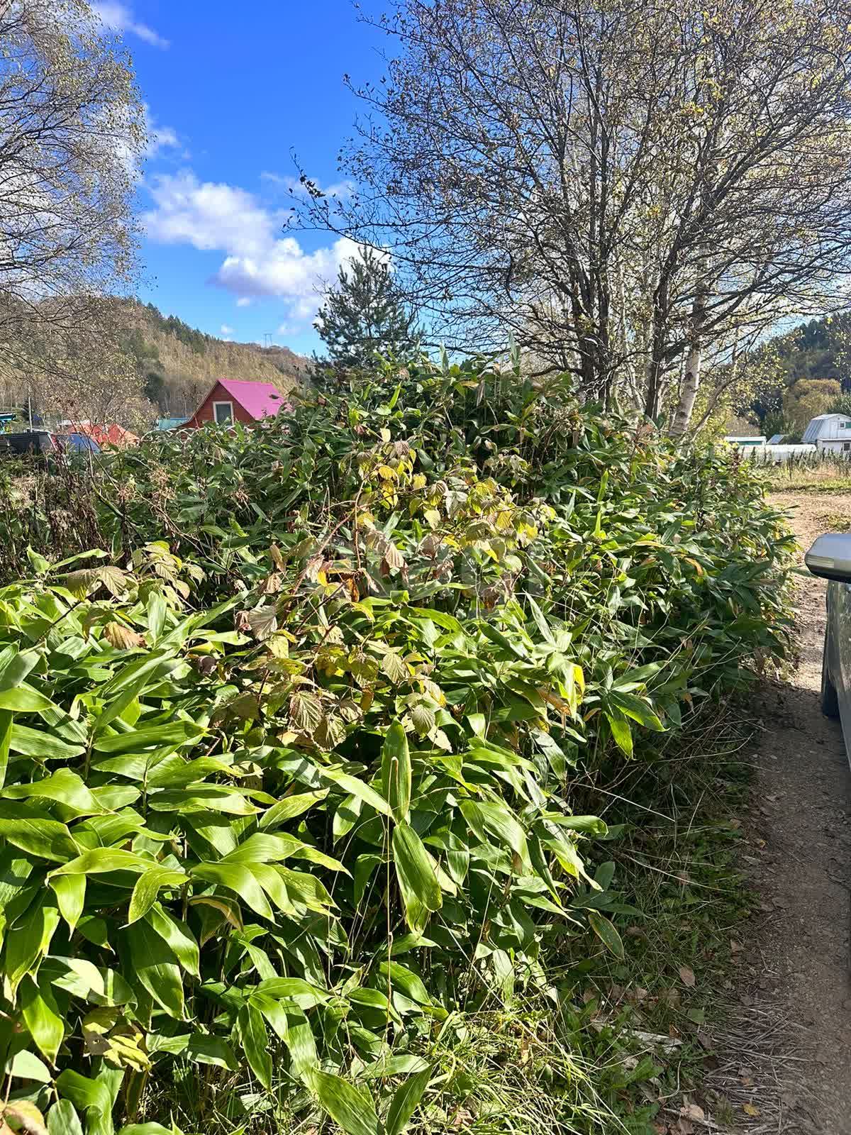 Продажа дачи, 30м <sup>2</sup>, 11 сот., Южно-Сахалинск, Сахалинская область,  Южно-Сахалинск