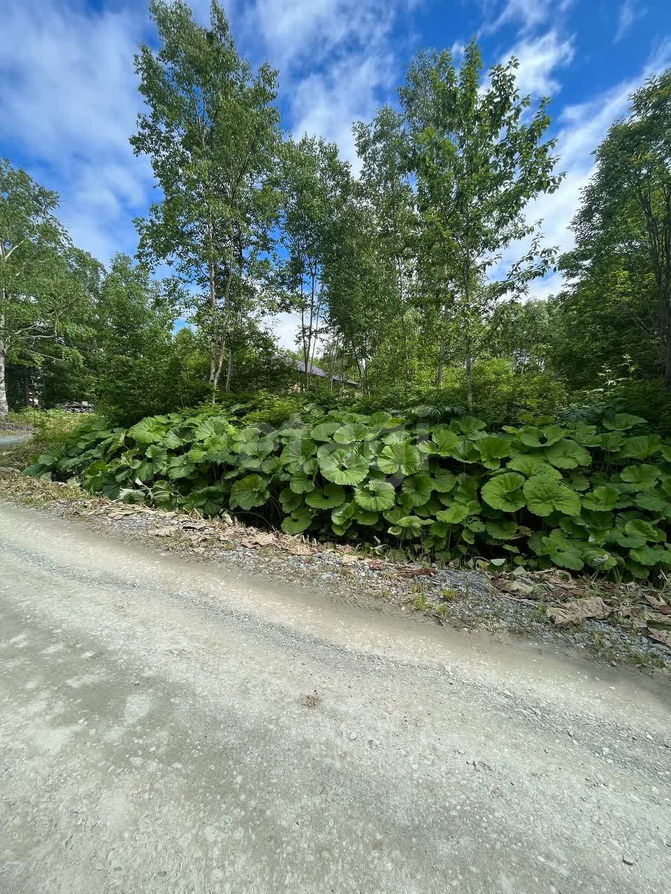 Продажа участка, Южно-Сахалинск, Сахалинская область,  