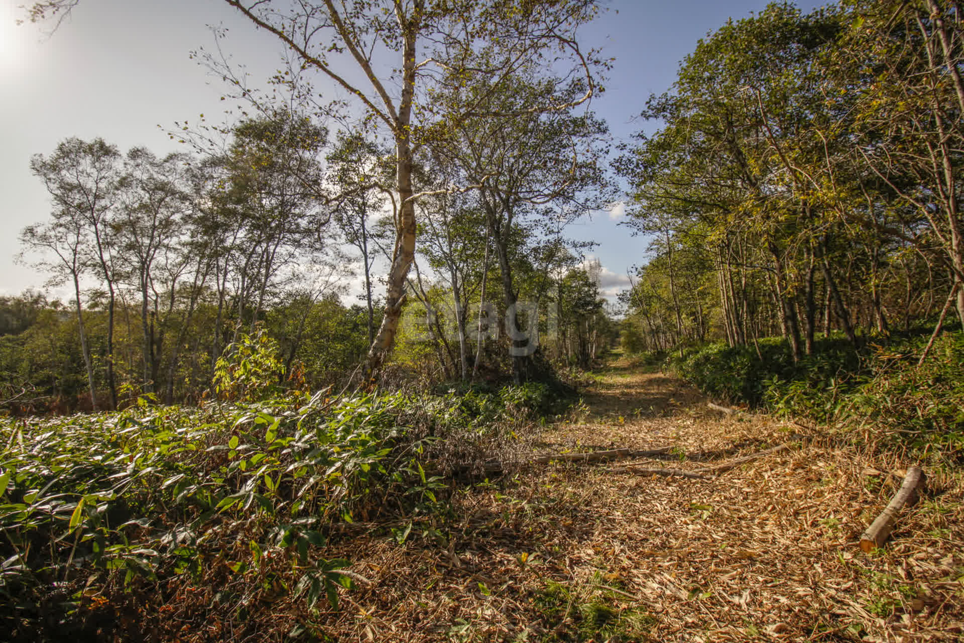 Продажа участка, Южно-Сахалинск, Сахалинская область,  Южно-Сахалинск