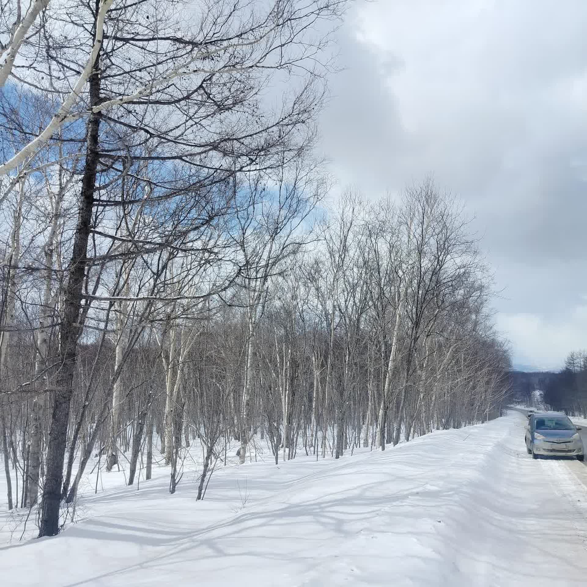 Продажа участка, Южно-Сахалинск, Сахалинская область,  Южно-Сахалинск