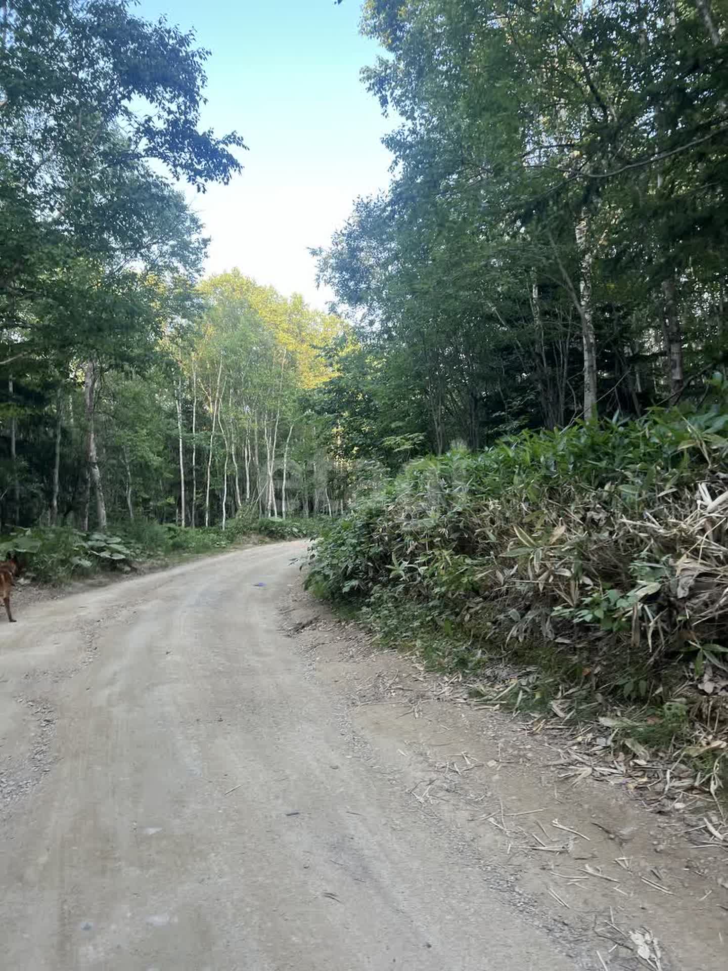 Продажа участка, Южно-Сахалинск, Сахалинская область,  Южно-Сахалинск