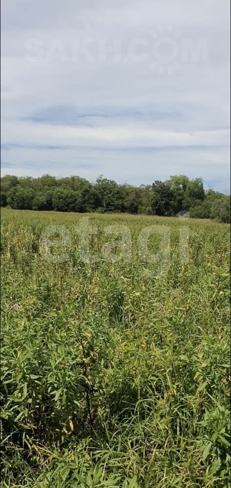 Продажа коммерческой недвижимости, 418м <sup>2</sup>, Южно-Сахалинск, Сахалинская область,  Южно-Сахалинск