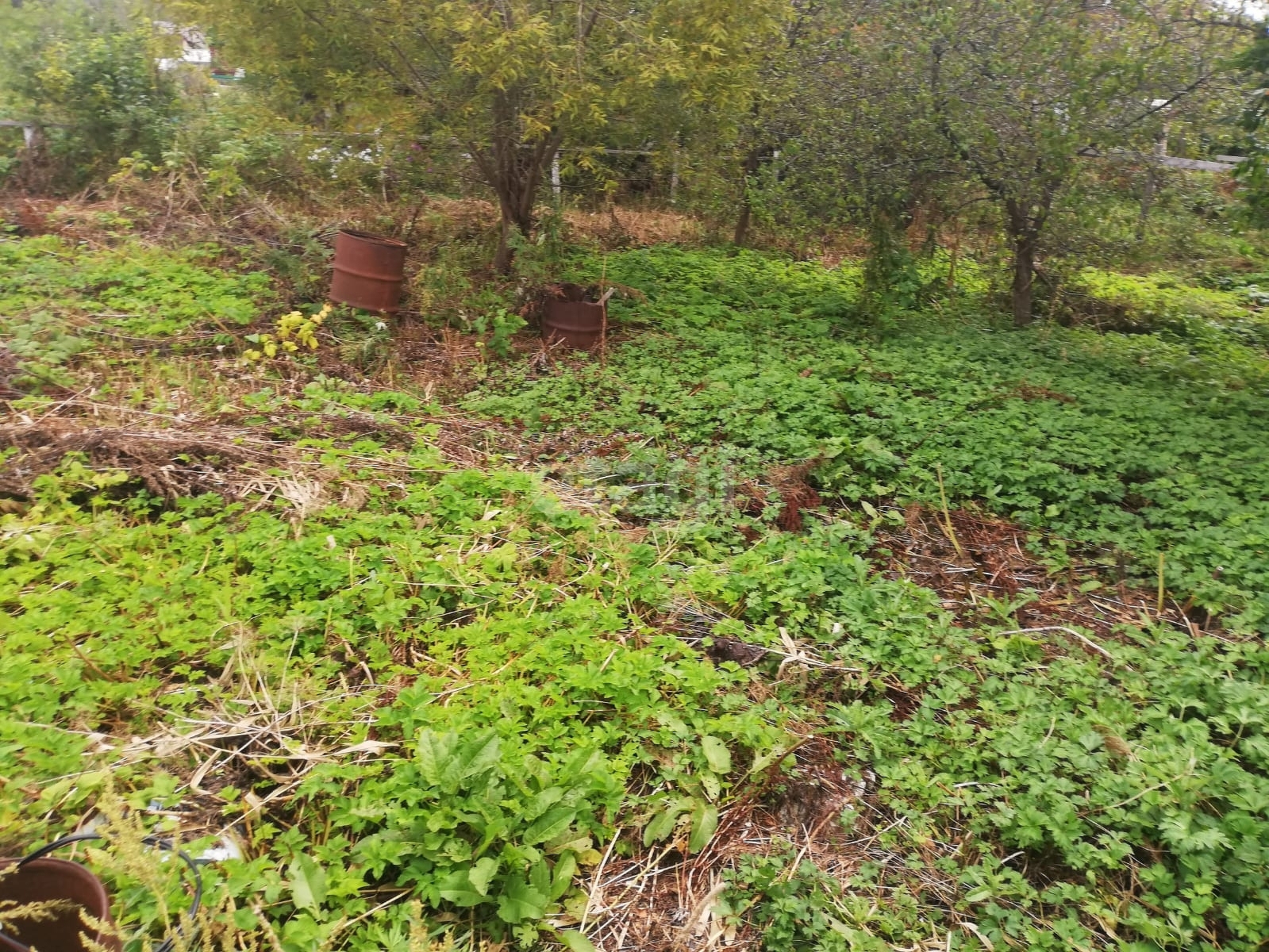 Продажа дачи, 30м <sup>2</sup>, 6 сот., Южно-Сахалинск, Сахалинская область,  