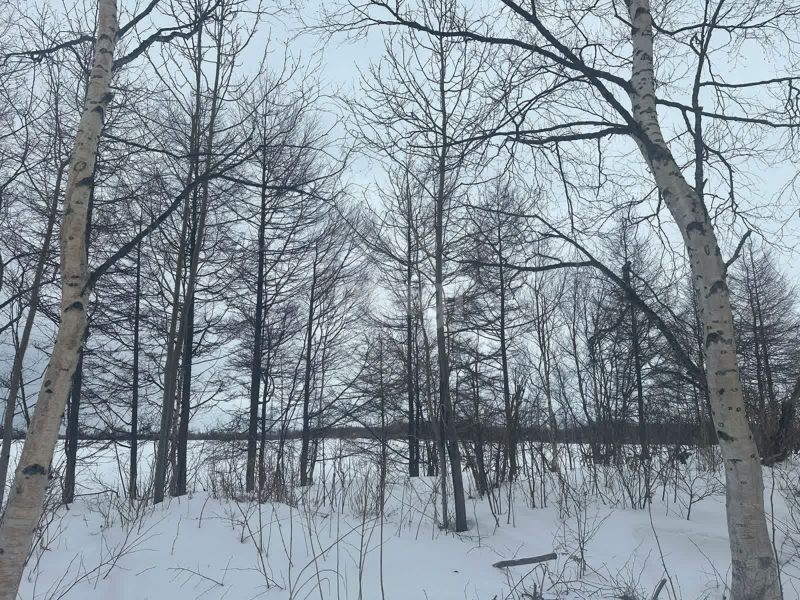 Продажа участка, Южно-Сахалинск, Сахалинская область,  Южно-Сахалинск