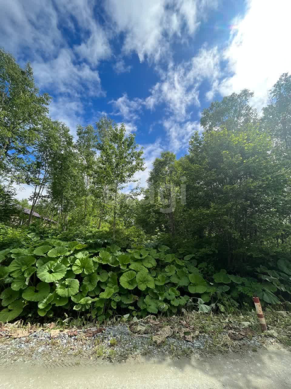 Продажа участка, Южно-Сахалинск, Сахалинская область,  