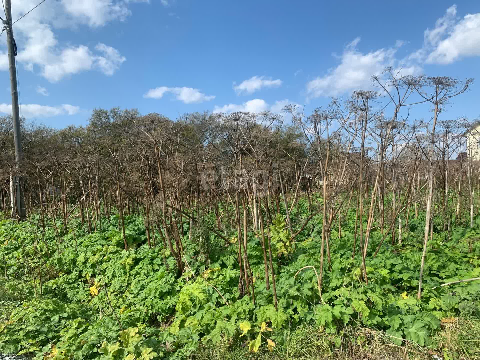 Продажа участка, Южно-Сахалинск, Сахалинская область,  