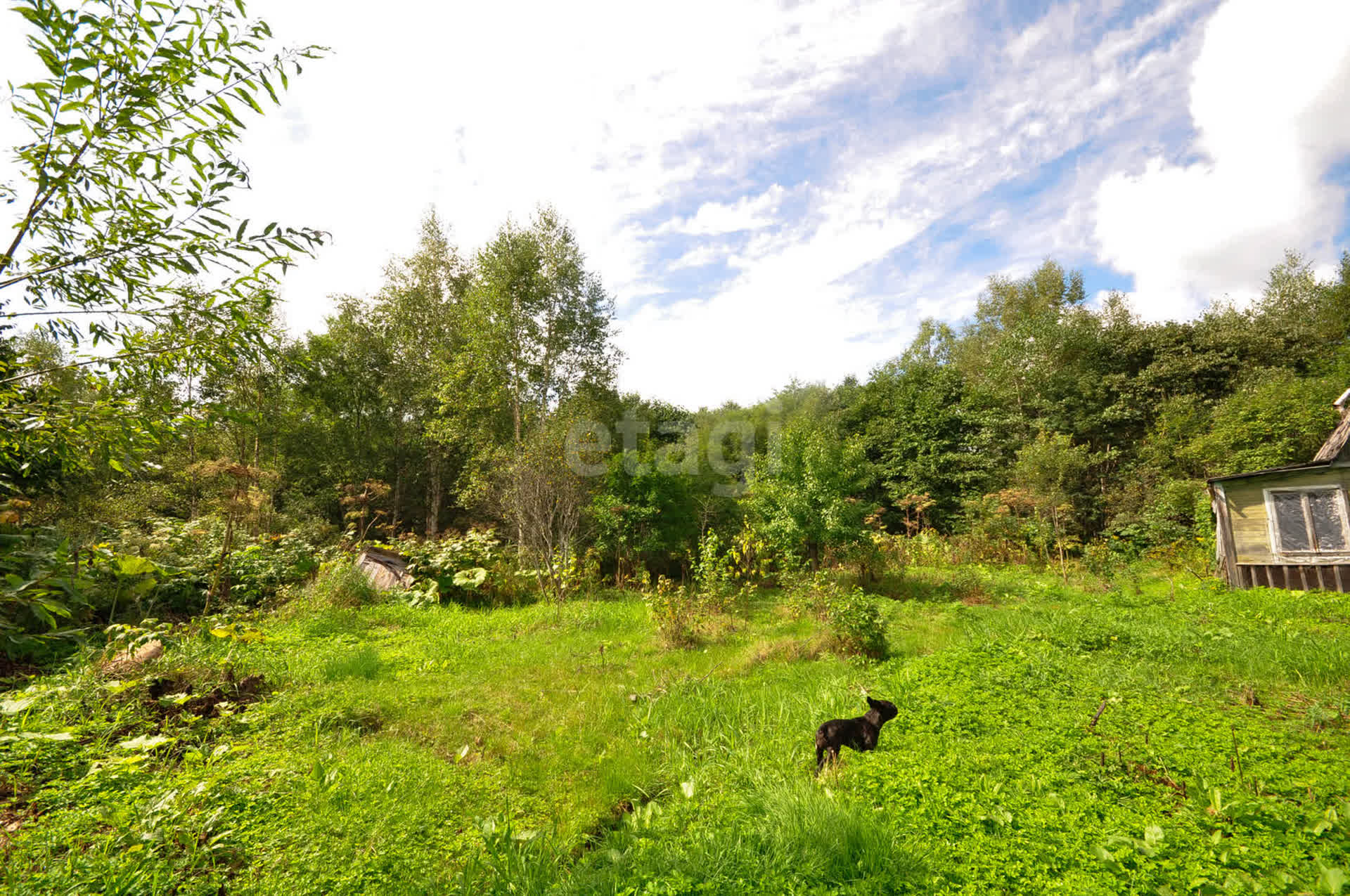 Продажа дачи, 8м <sup>2</sup>, 6 сот., Южно-Сахалинск, Сахалинская область,  Южно-Сахалинск