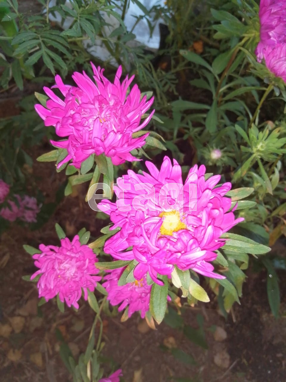 Продажа участка, Южно-Сахалинск, Сахалинская область,  