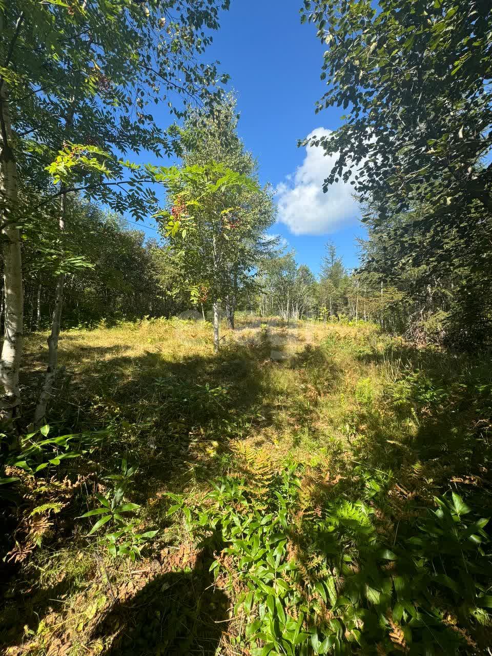 Продажа участка, Южно-Сахалинск, Сахалинская область,  Южно-Сахалинск