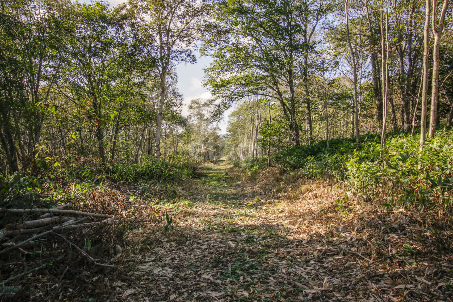 Продажа участка, Южно-Сахалинск, Сахалинская область,  Южно-Сахалинск