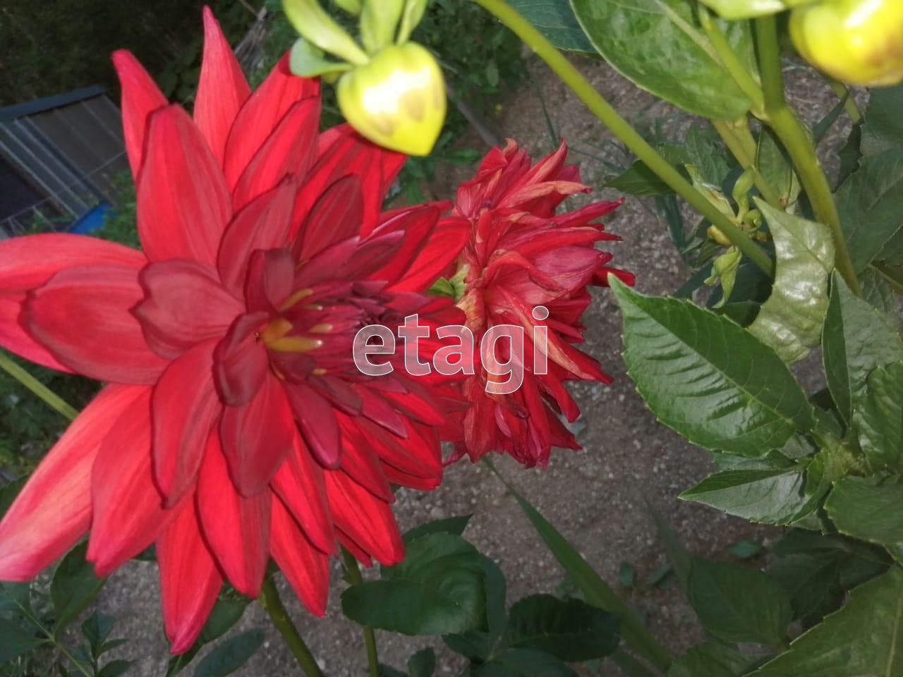 Продажа участка, Южно-Сахалинск, Сахалинская область,  