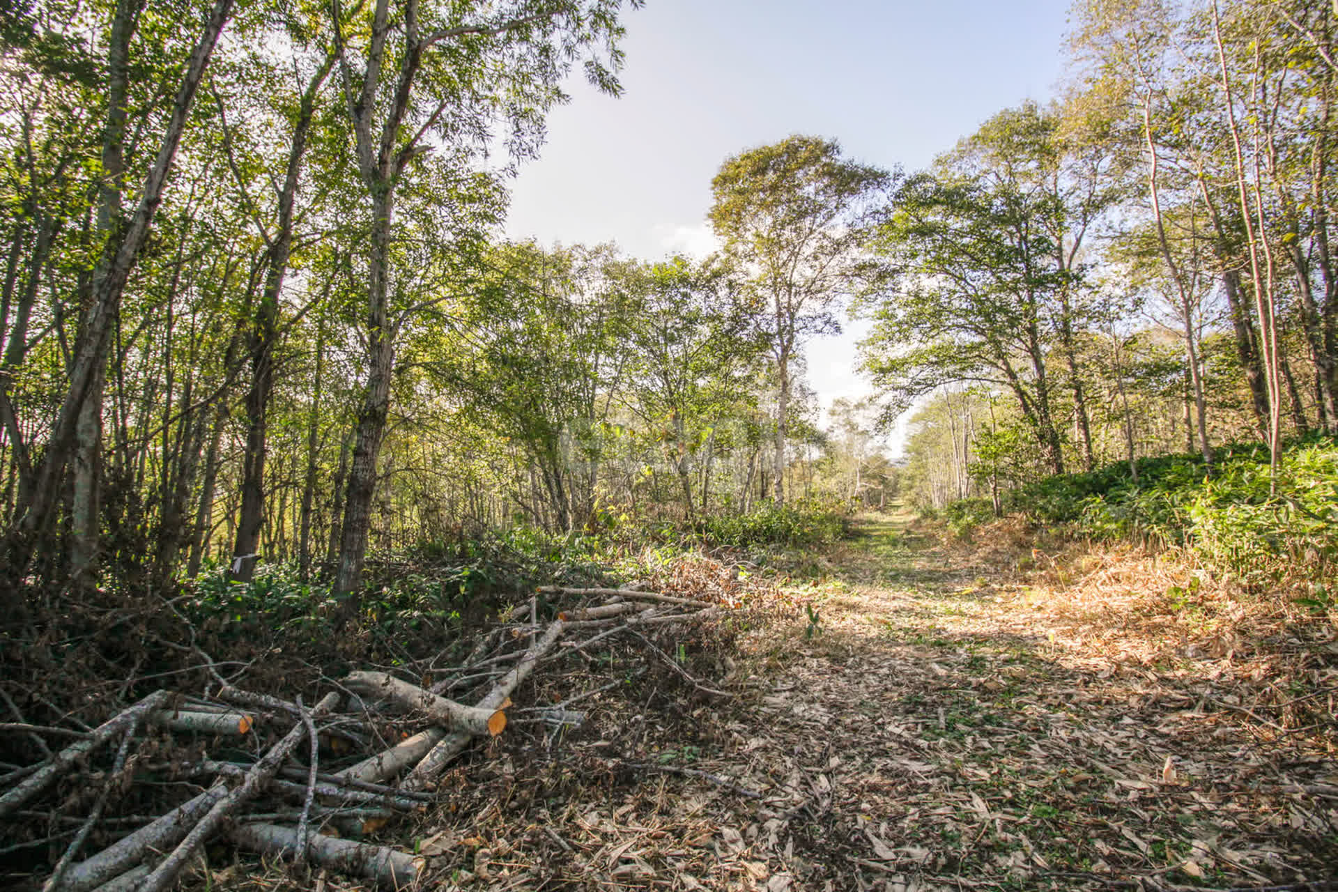 Продажа участка, Южно-Сахалинск, Сахалинская область,  Южно-Сахалинск