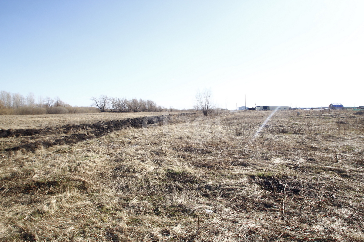 Земля 220. Село Хохлово Ялуторовский район. Хохлово село Ялуторовский район летом. Карьер Хохлово.