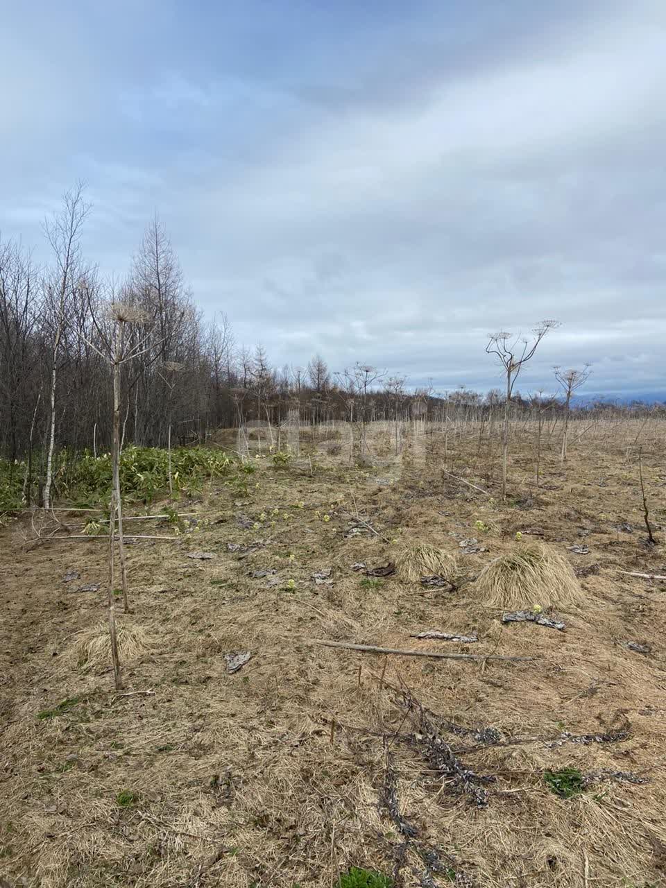 Продажа участка, Южно-Сахалинск, Сахалинская область,  