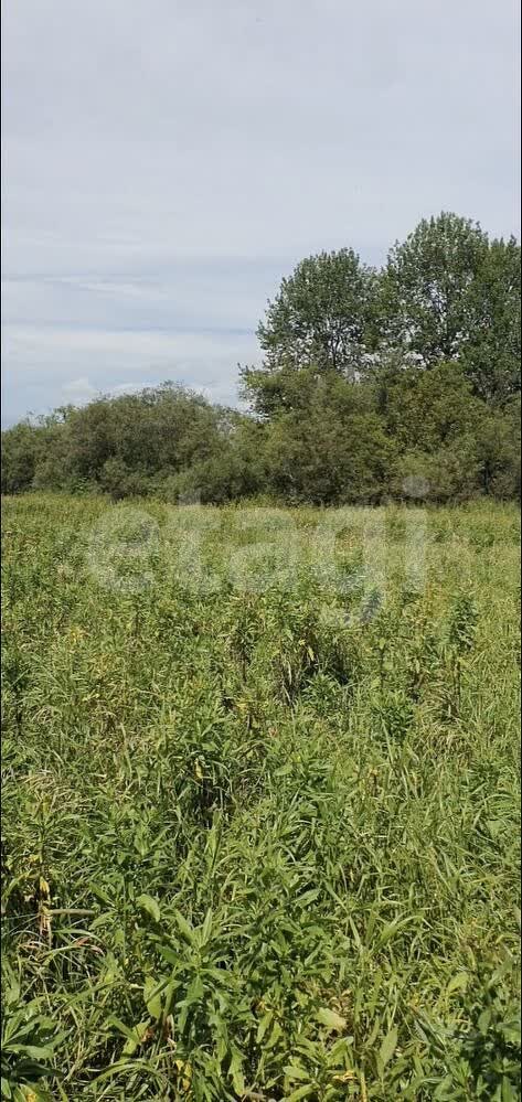 Продажа коммерческой недвижимости, 418м <sup>2</sup>, Южно-Сахалинск, Сахалинская область,  Южно-Сахалинск