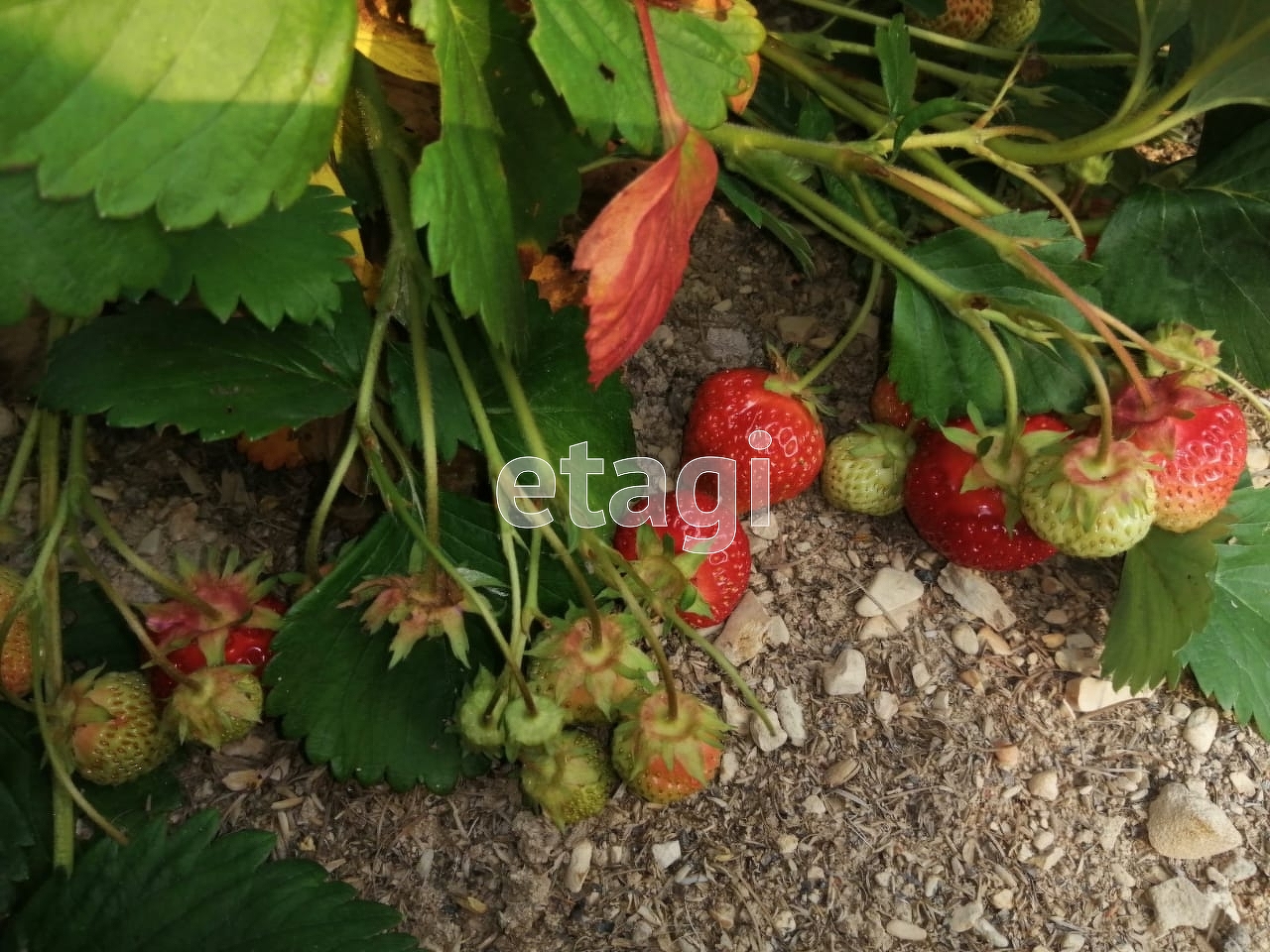 Продажа участка, Южно-Сахалинск, Сахалинская область,  