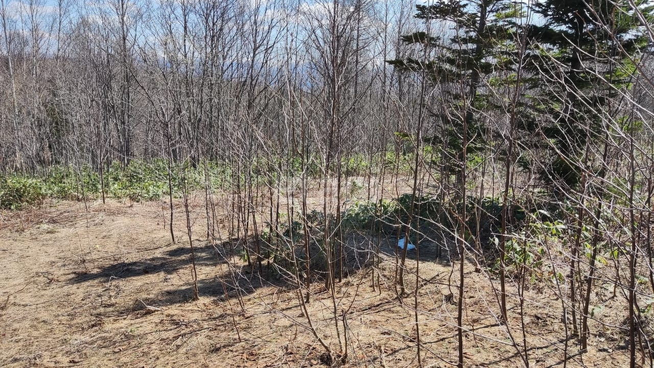 Продажа участка, Южно-Сахалинск, Сахалинская область,  Южно-Сахалинск