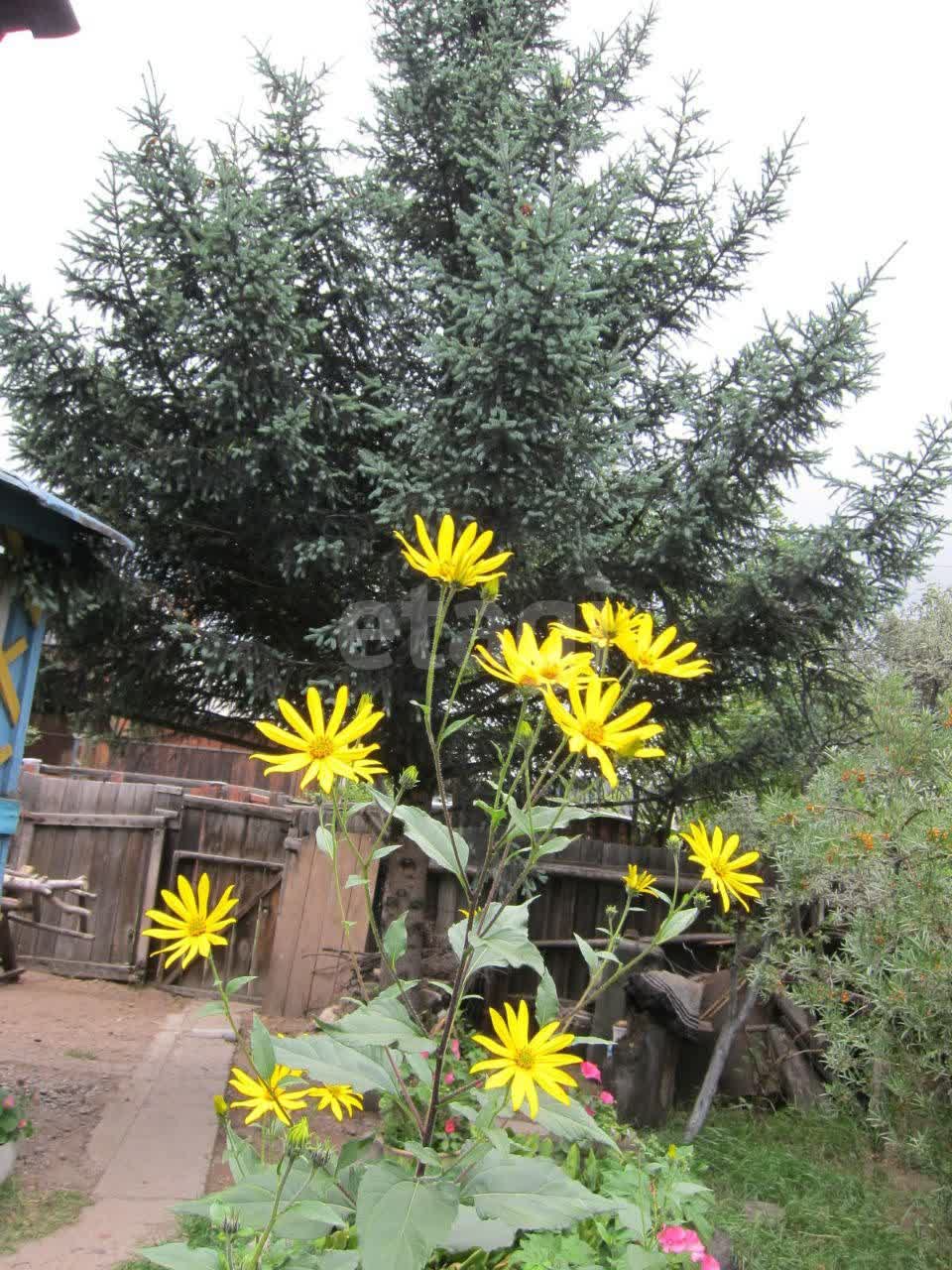 Продажа дачи, 53м <sup>2</sup>, 5 сот., Улан-Удэ, Республика Бурятия