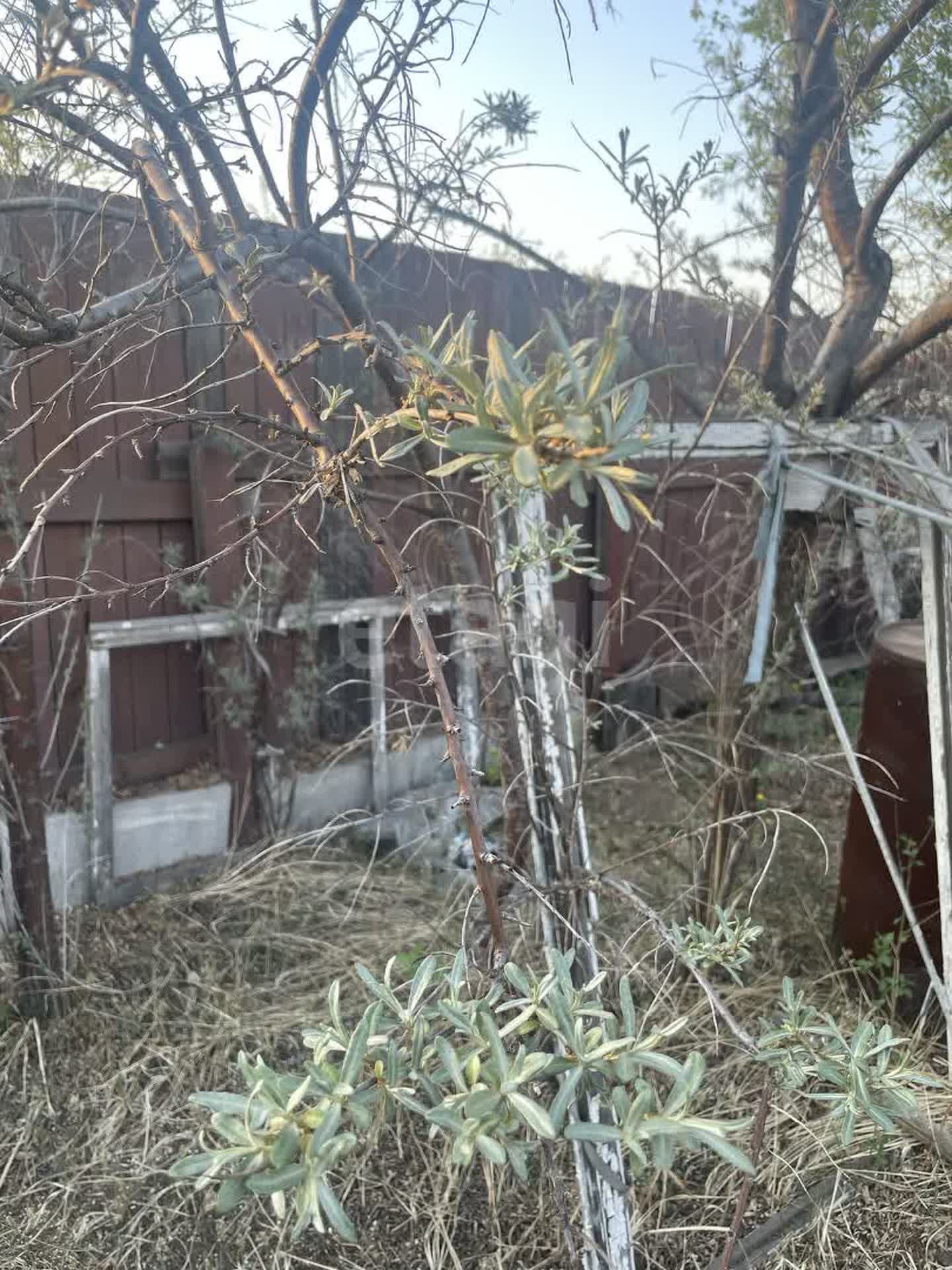 Продажа дачи, 50м <sup>2</sup>, 6 сот., Улан-Удэ, Республика Бурятия,  Заиграевский