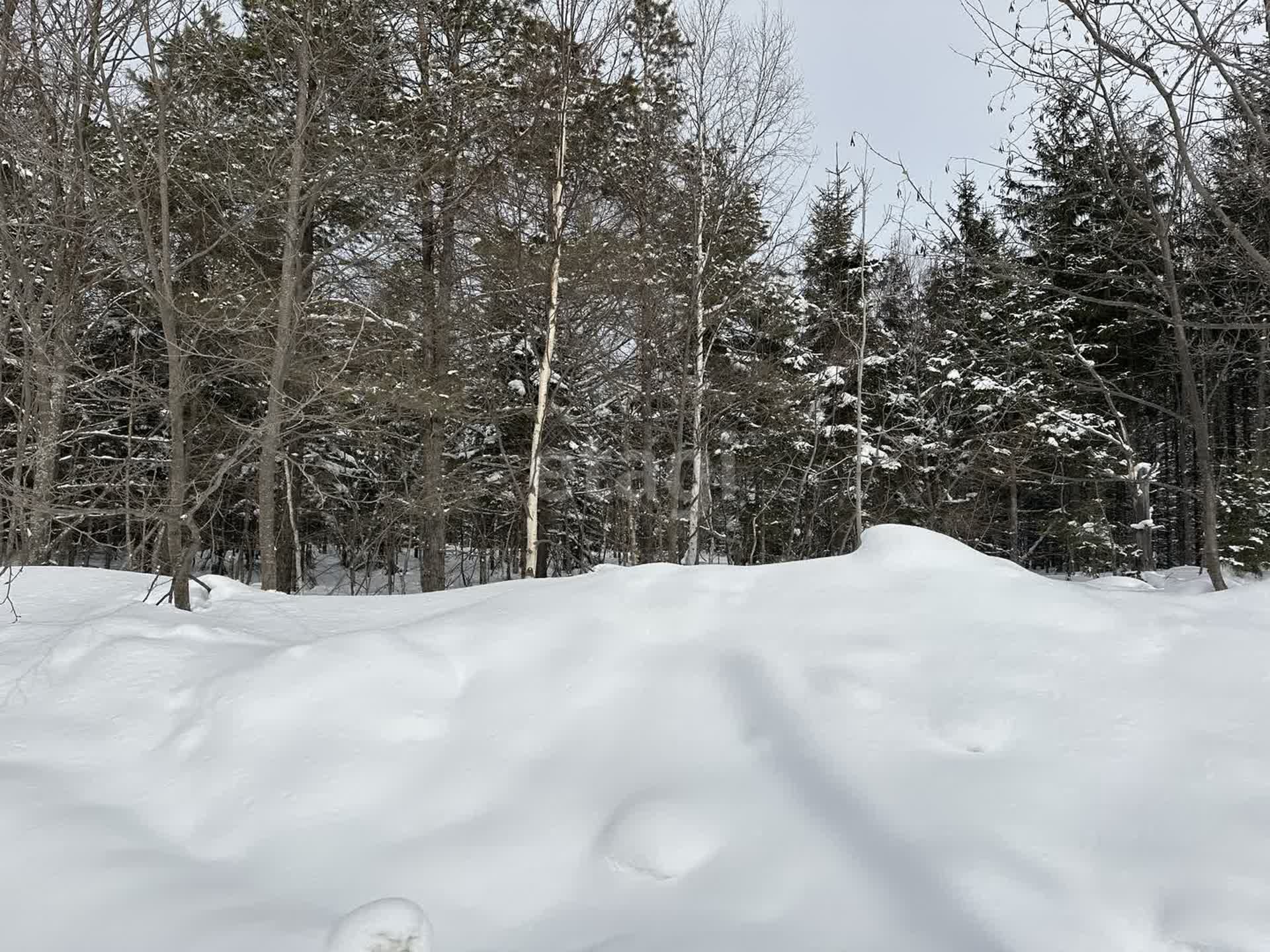 Продажа участка, Южно-Сахалинск, Сахалинская область,  