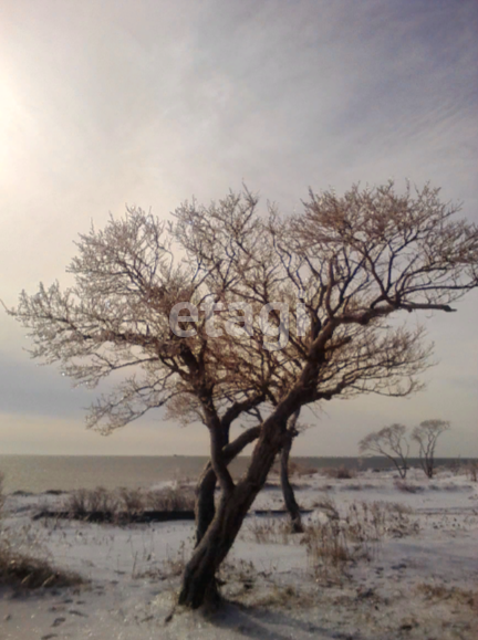 Продажа дома, 127м <sup>2</sup>, 100 сот., Южно-Сахалинск, Сахалинская область,  Южно-Сахалинск