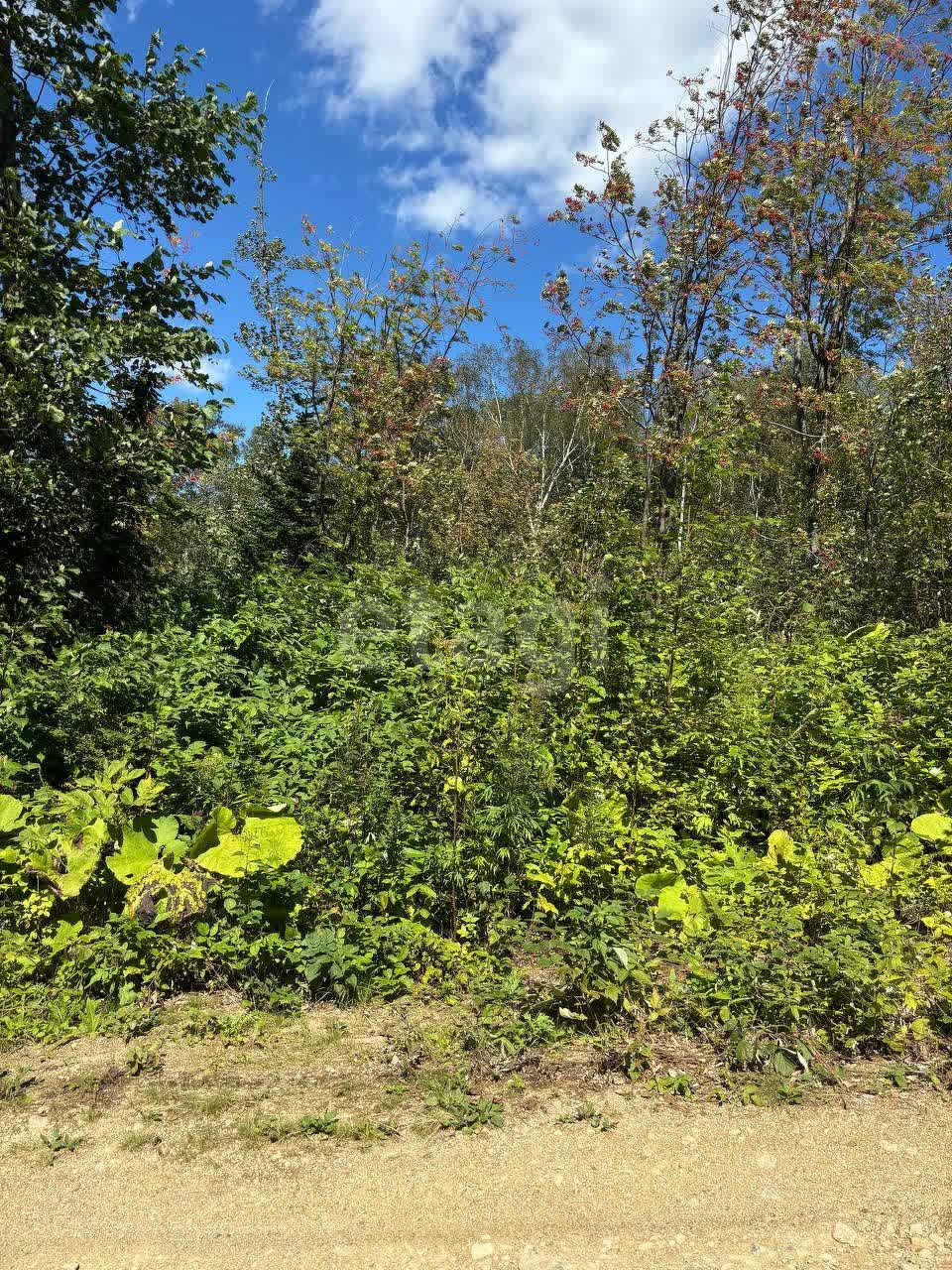 Продажа участка, Южно-Сахалинск, Сахалинская область,  