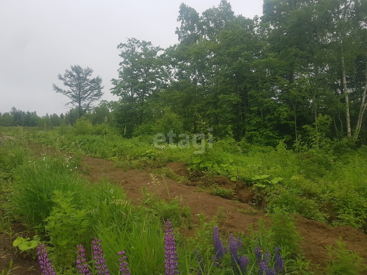 Продажа участка, Южно-Сахалинск, Сахалинская область,  Южно-Сахалинск