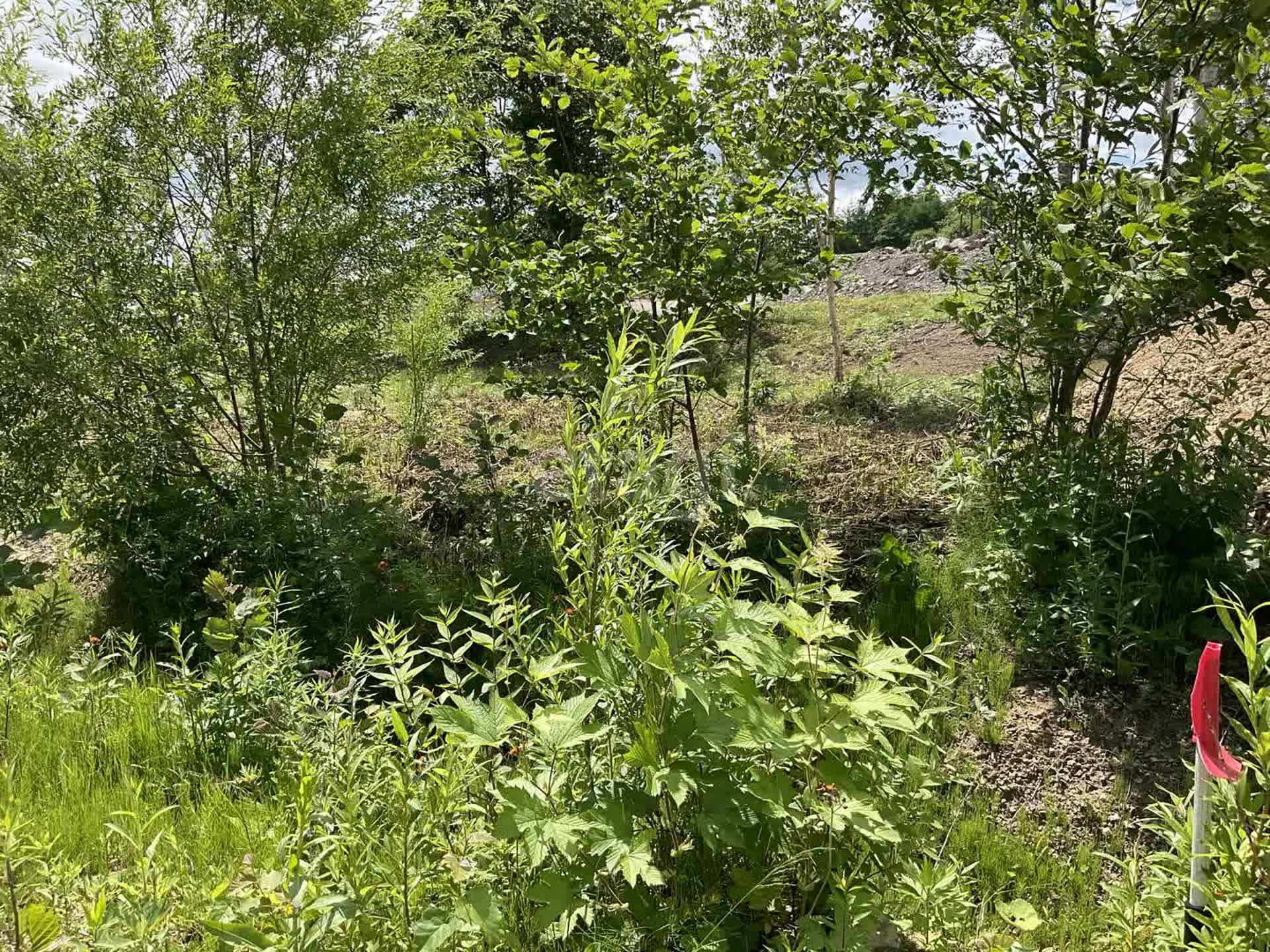 Продажа участка, Южно-Сахалинск, Сахалинская область,  Южно-Сахалинск